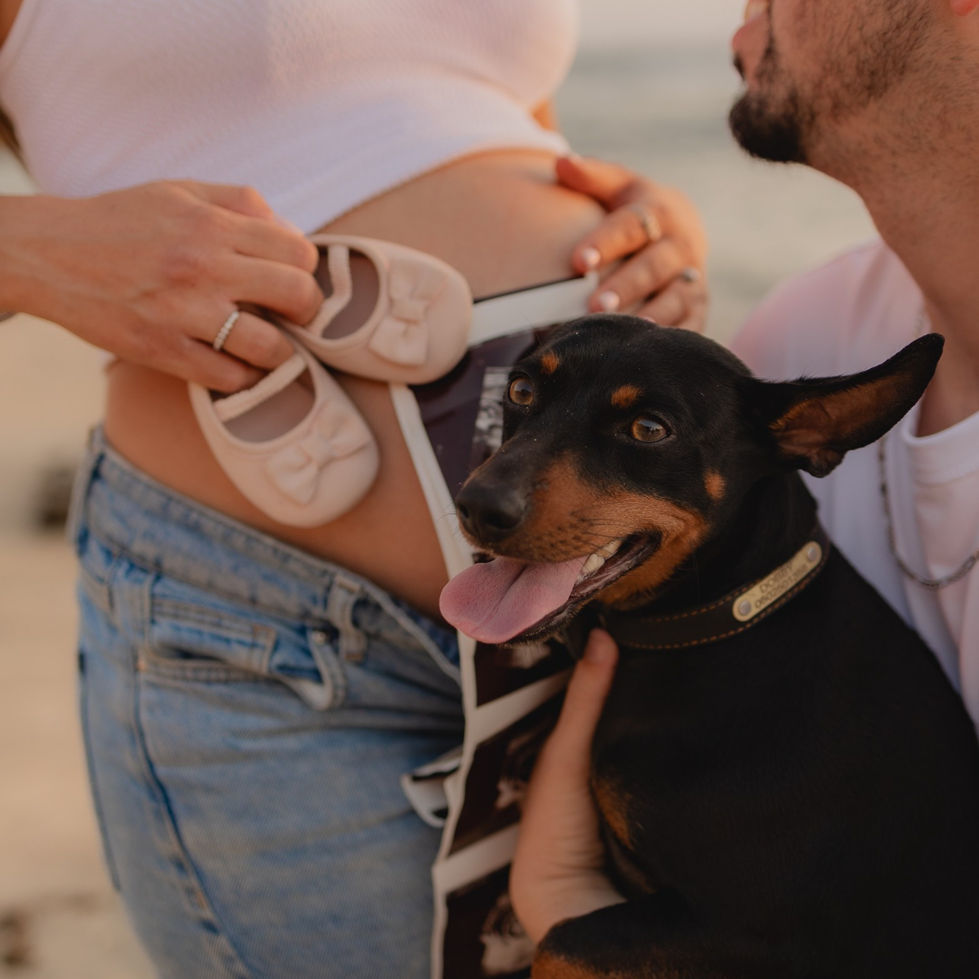 צילומי הריון עם כלב מתוק