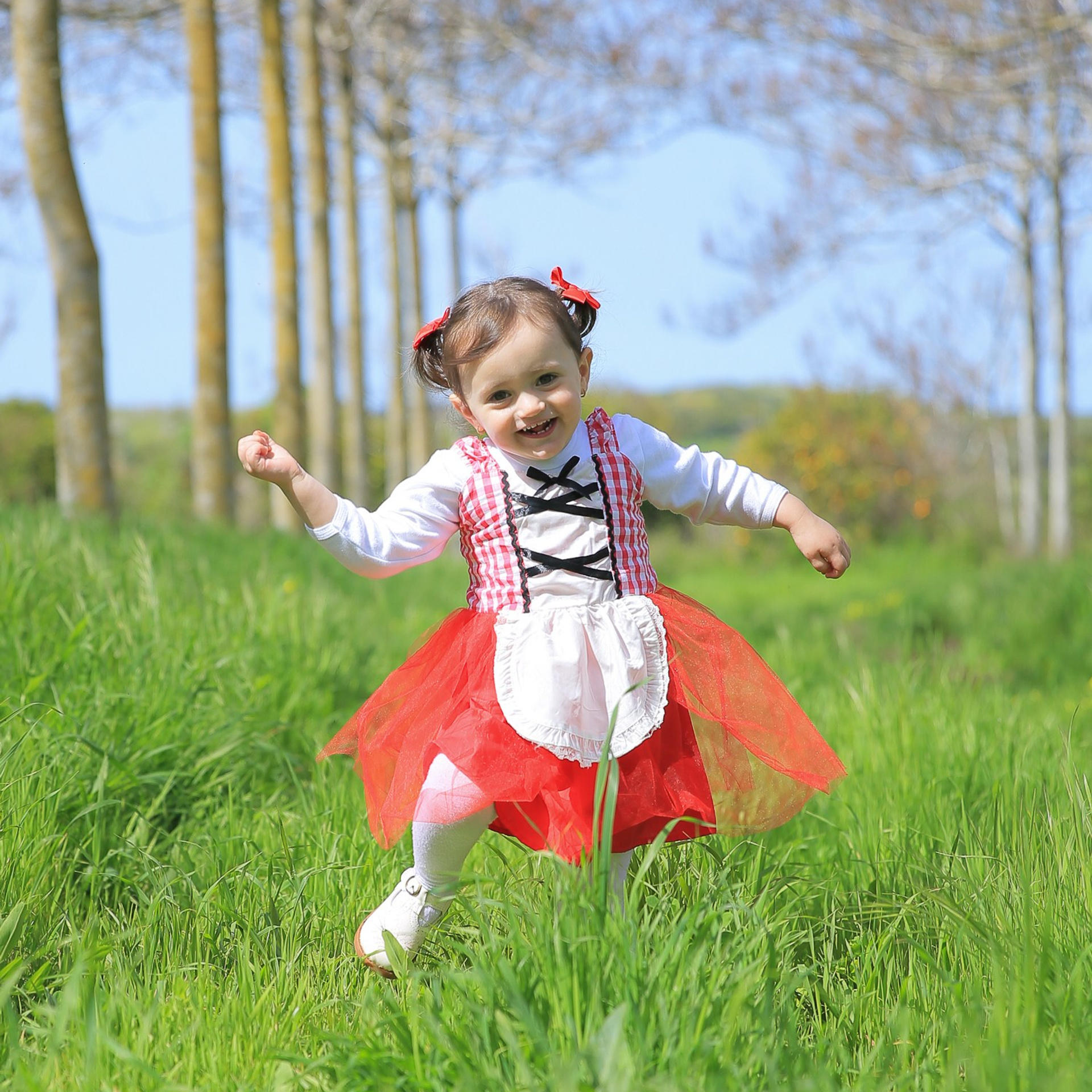 צילומי פורים בטבע