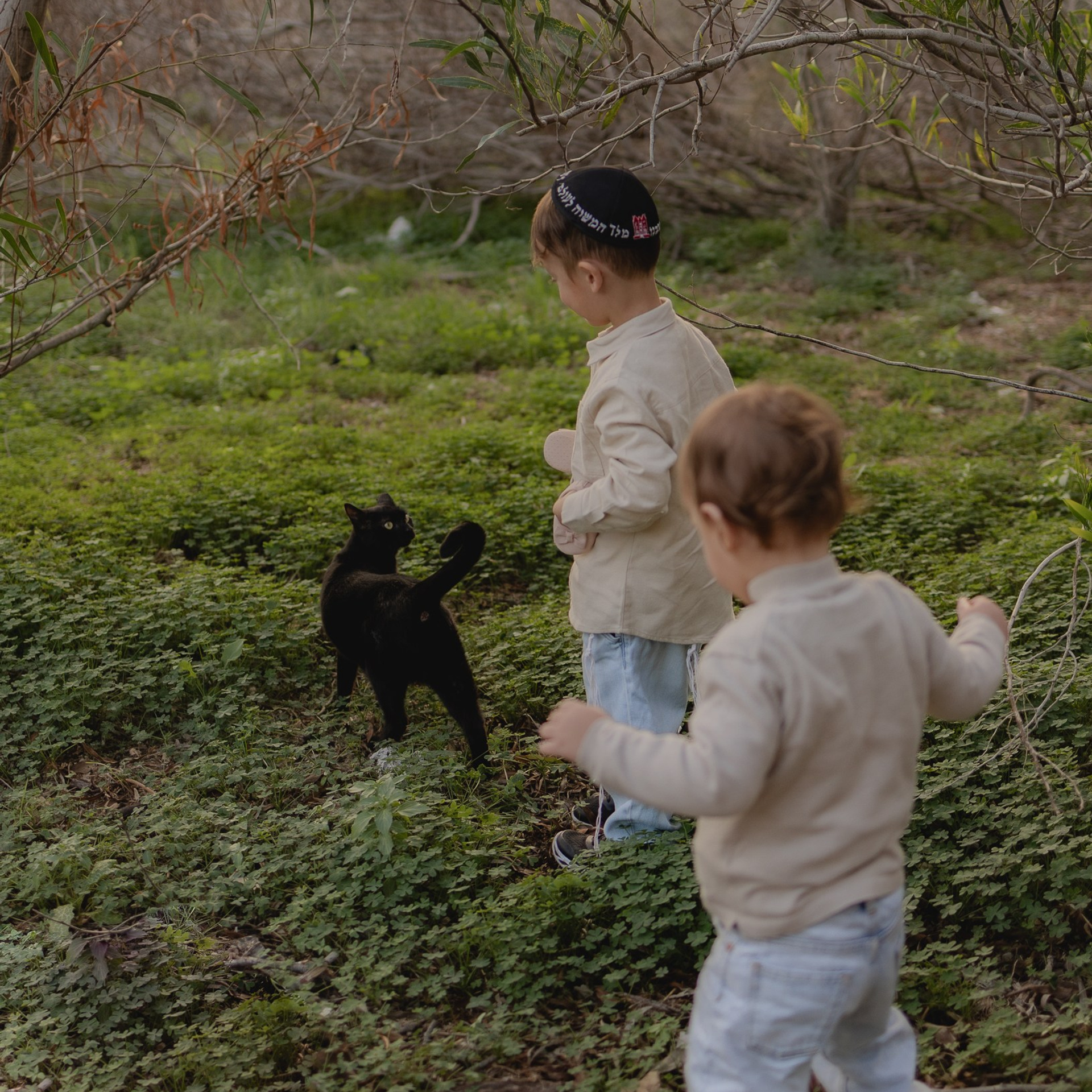 חוות דעת. דף בית