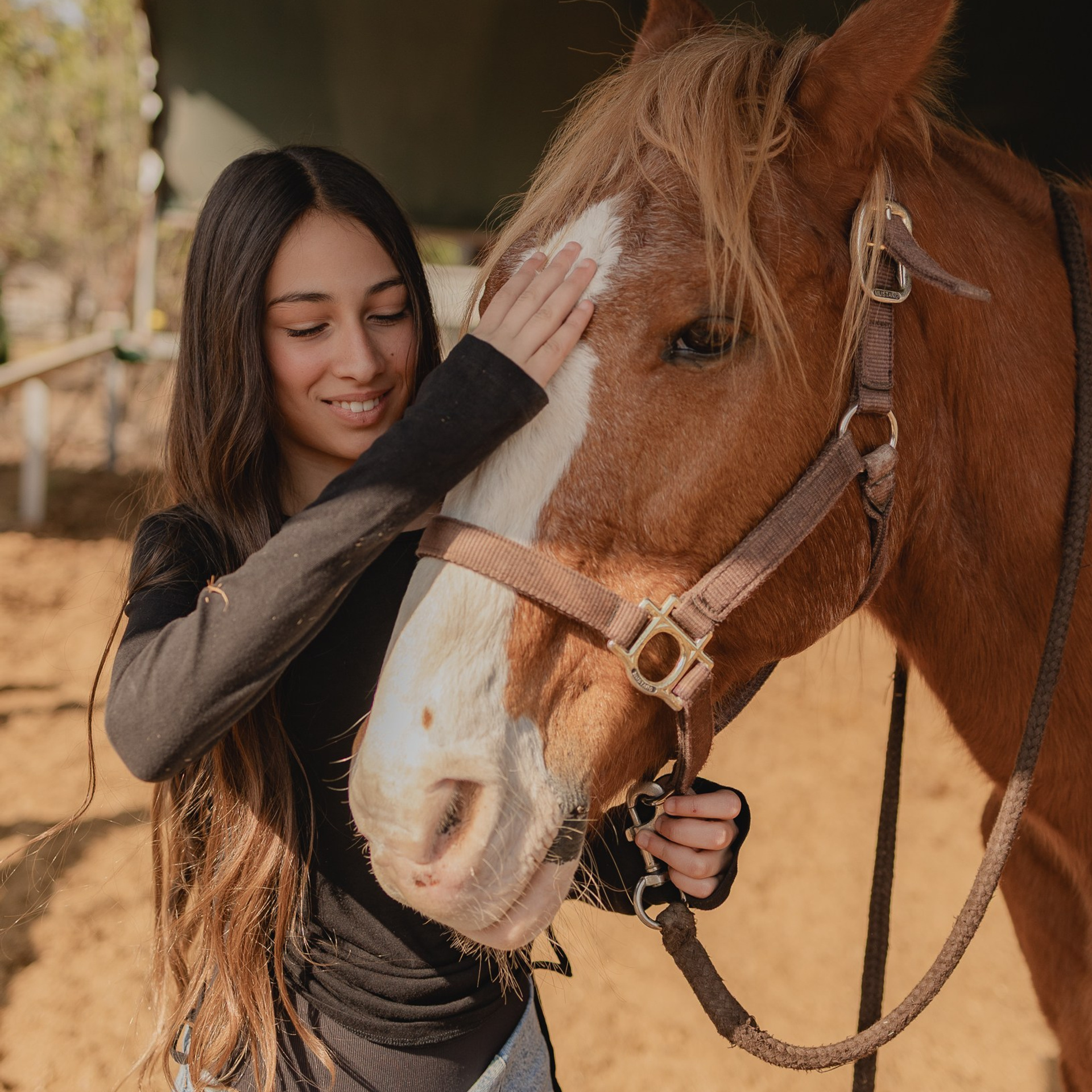 חוות דעת. דף בית