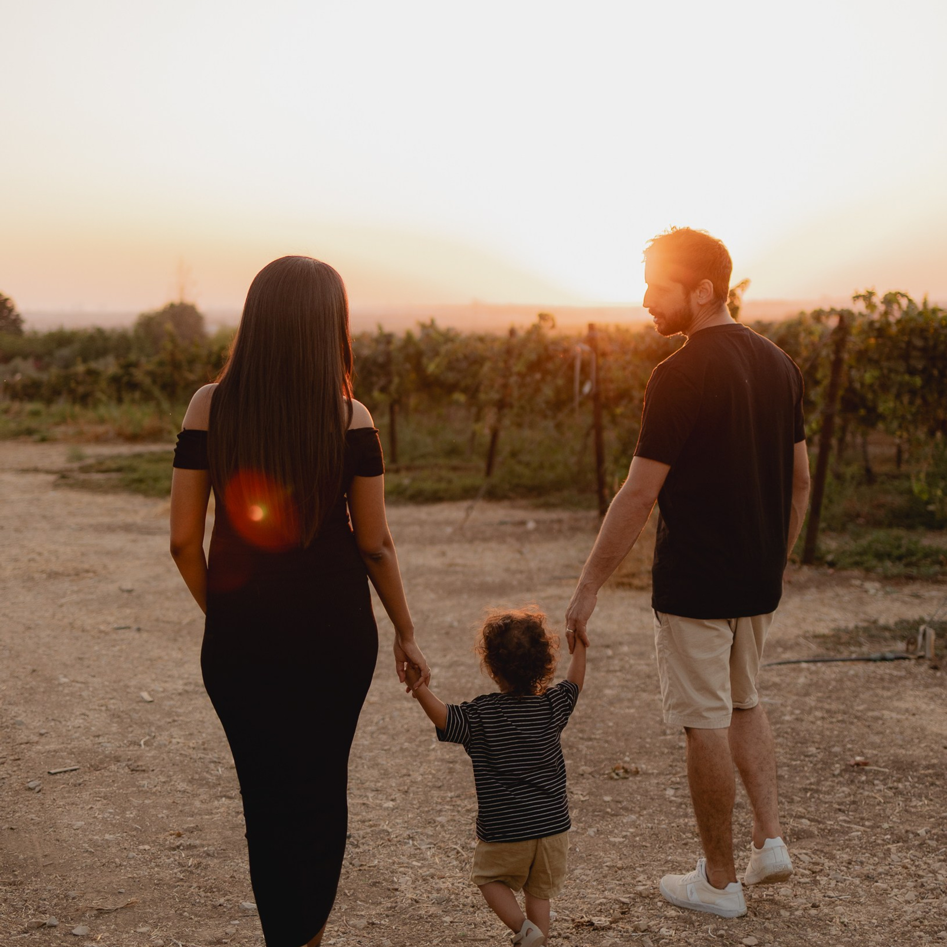 חוות דעת. דף בית