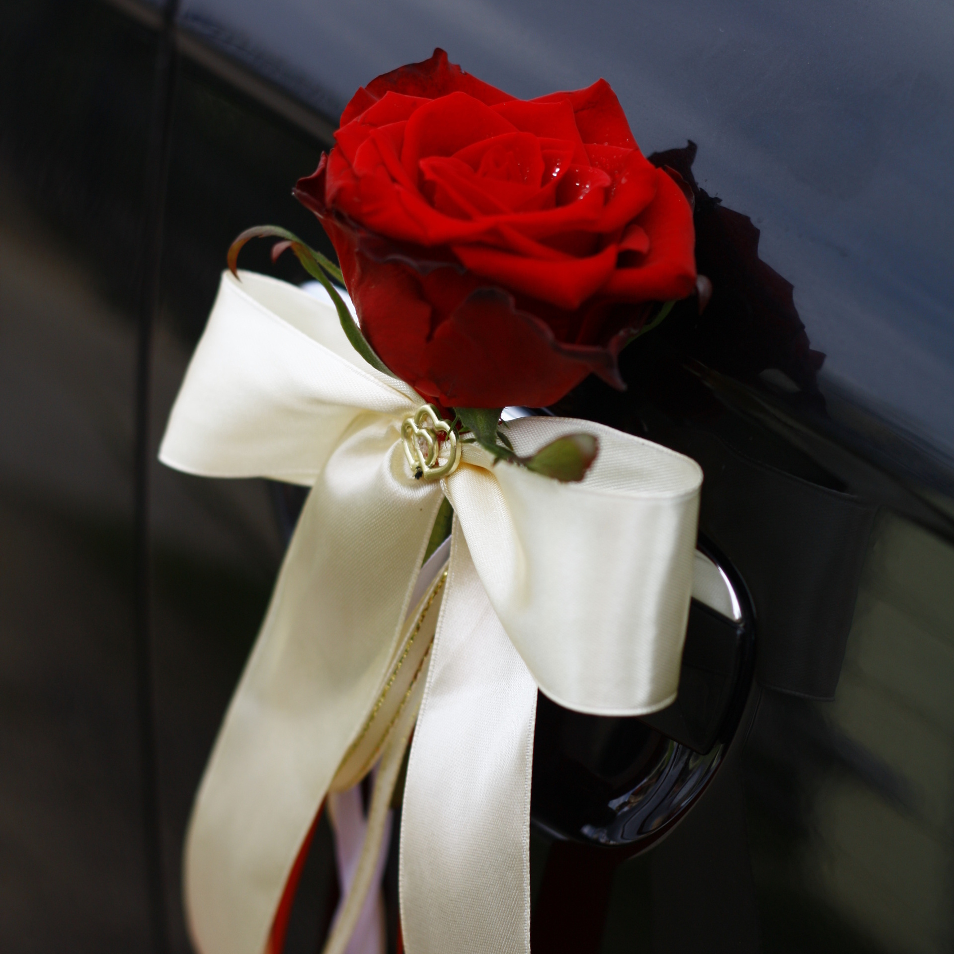 Оформление свадебной машины
Оформление свадебного авто
Декор на машину
Композиция на машину
Mašīna dekors
Kāzu auto