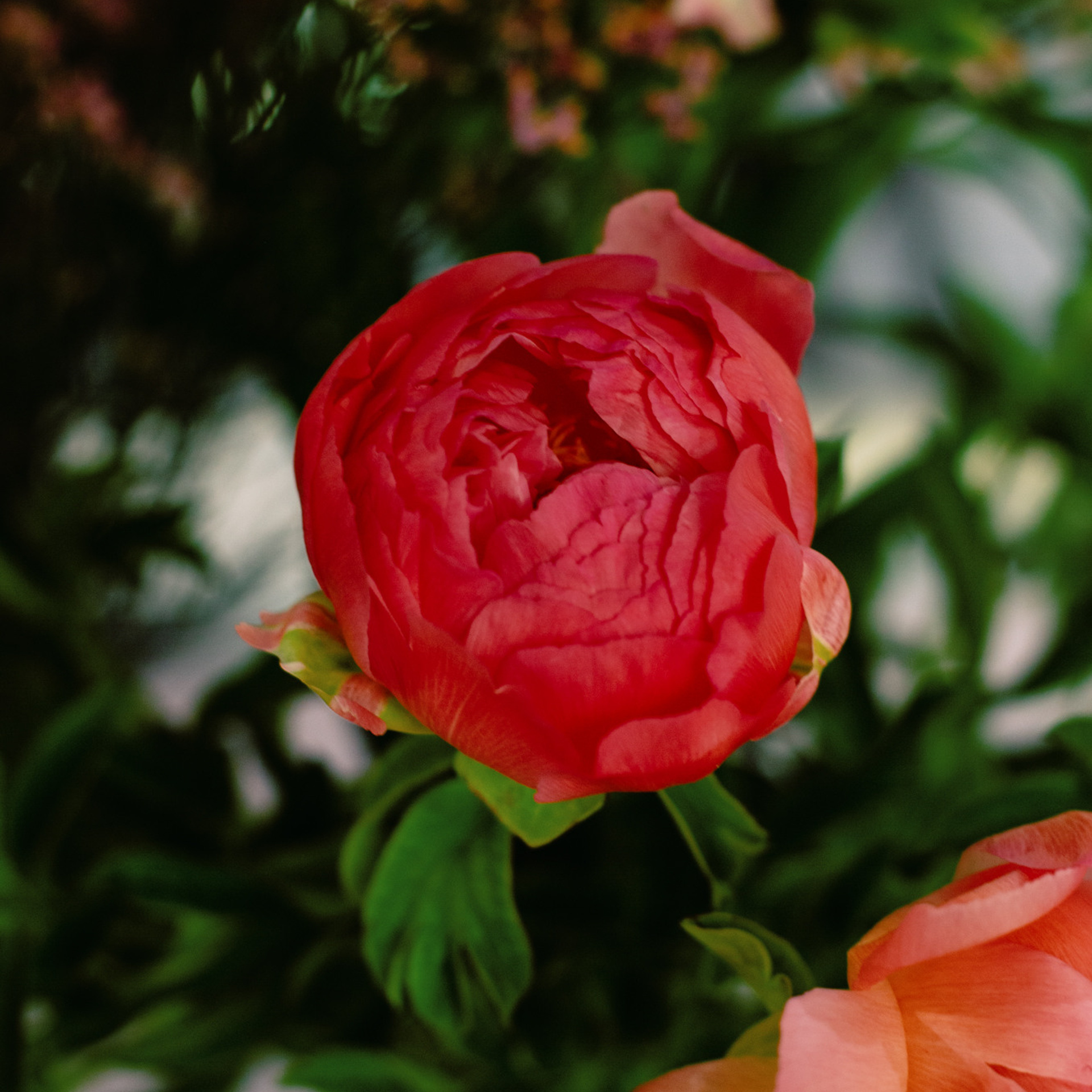 Kwiatowy masterclass