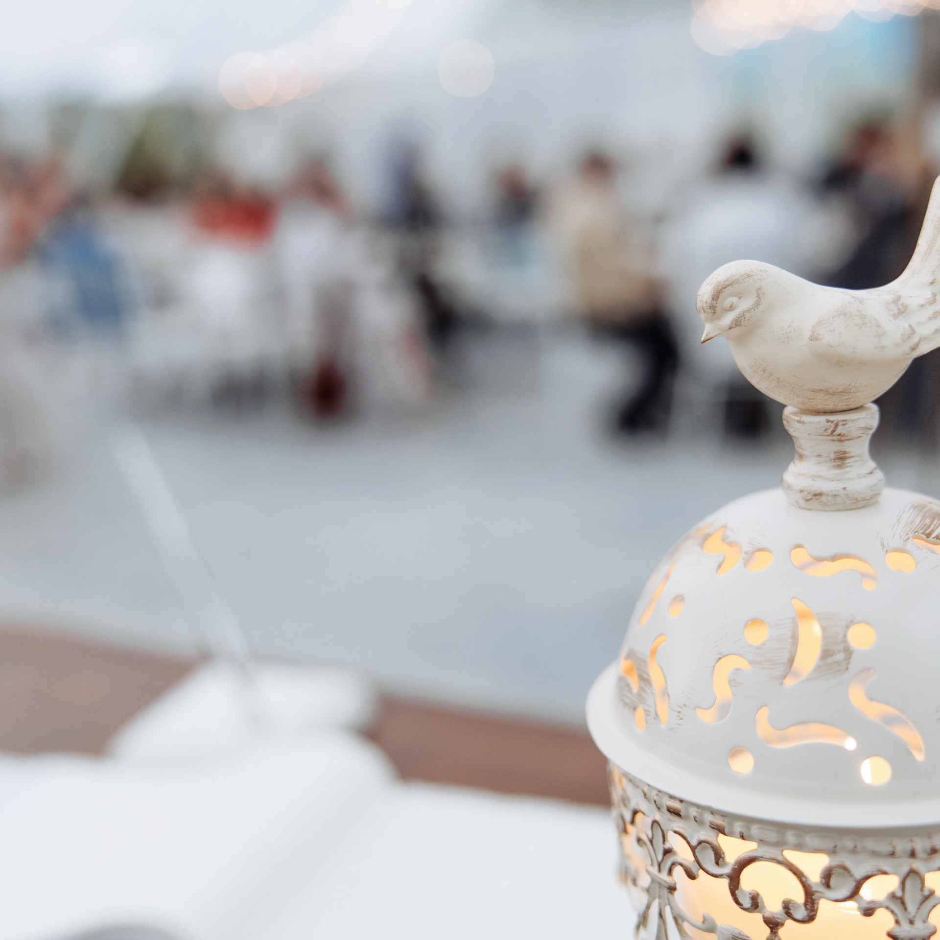 Reviews. Wedding Photographer in Winnipeg — Cinematic & Timeless by Vitiuk Photography