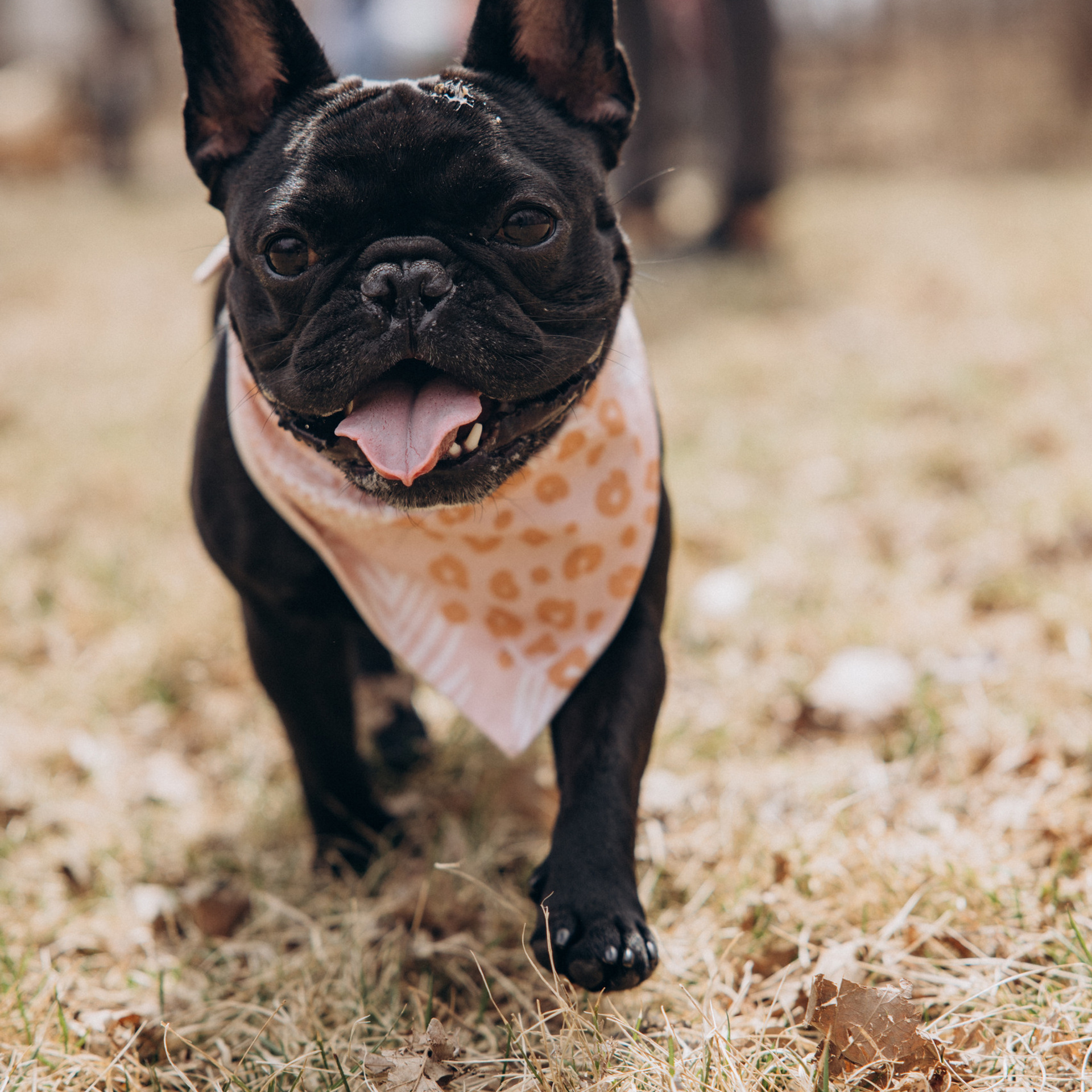 Reviews. Wedding Photographer in Winnipeg — Cinematic & Timeless by Vitiuk Photography