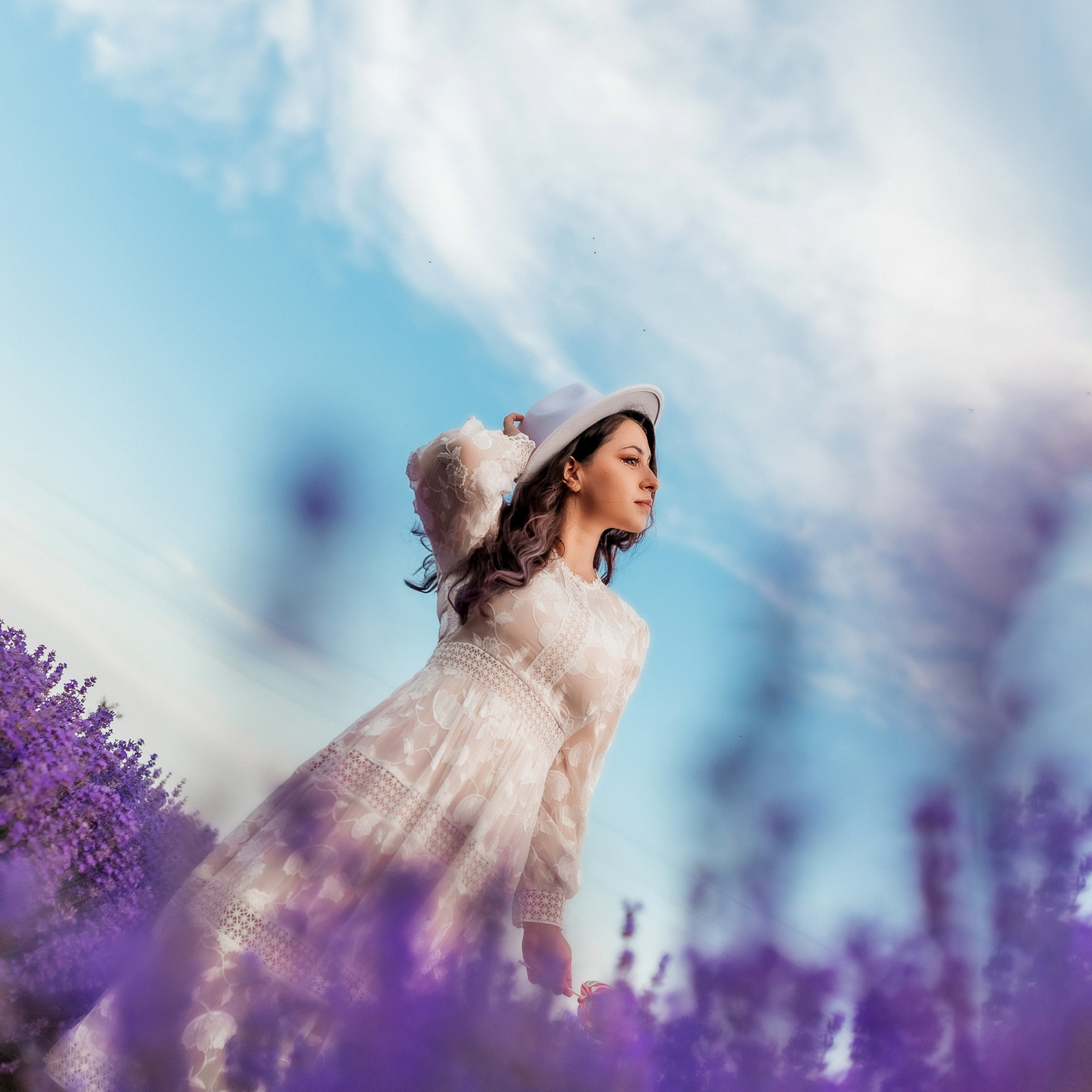 Фоторазходка Лавандула