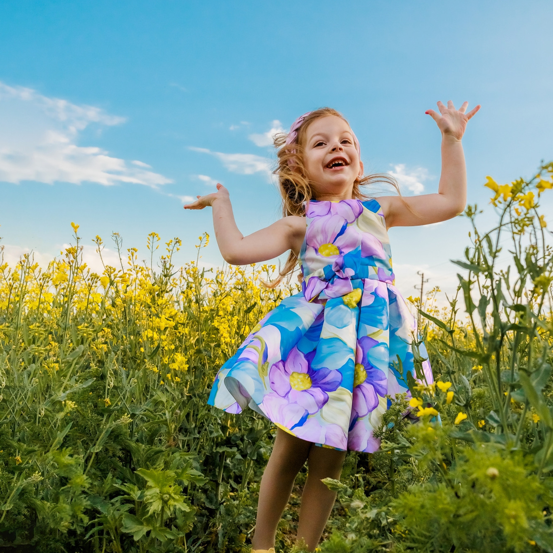 Когато цъфти рапицата