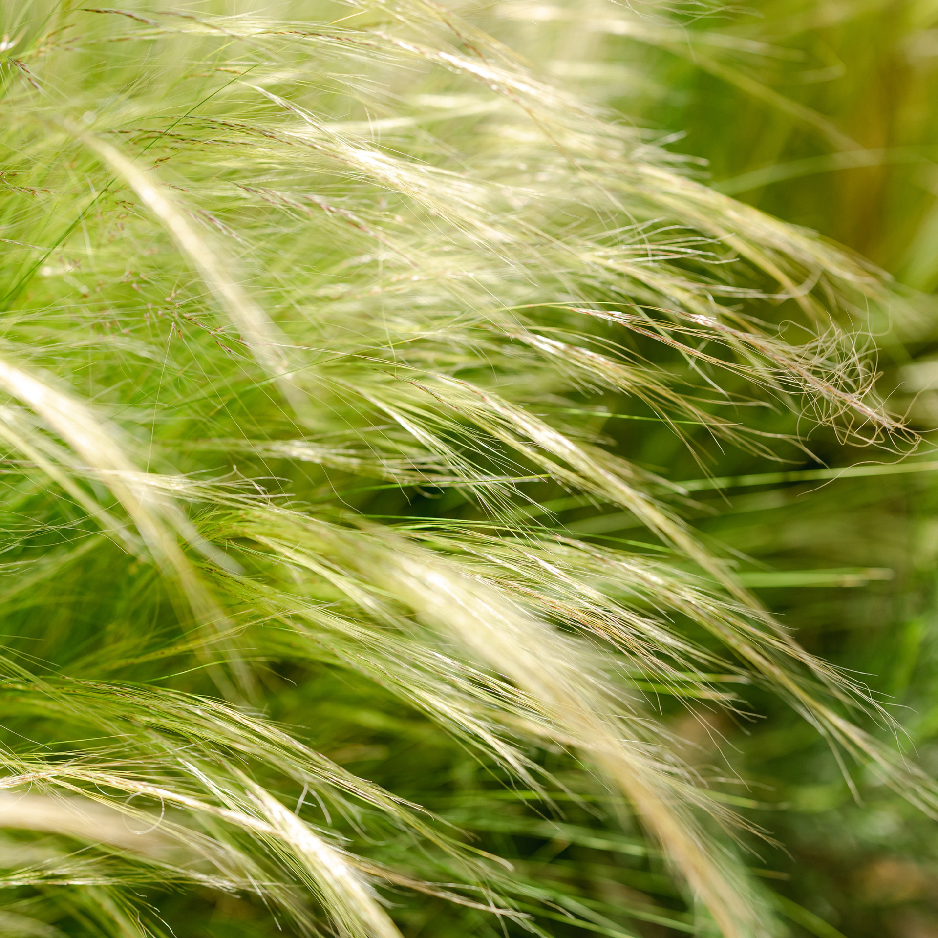 Wedding photographer Michigan. Anastasia Post: Wedding and Editorial Photography