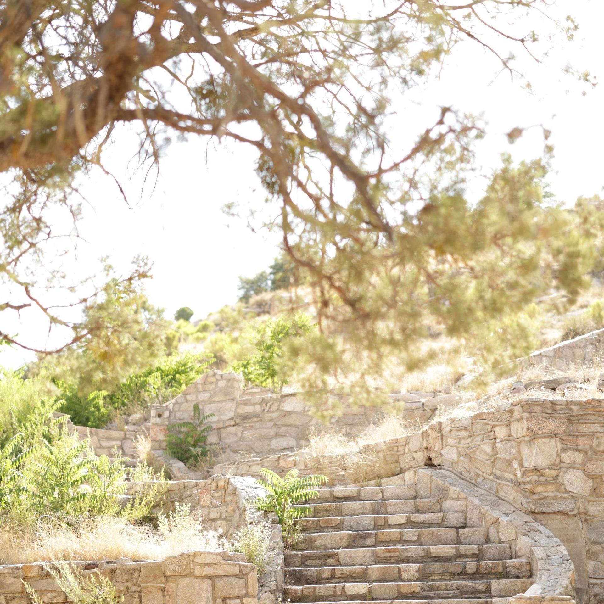 Wedding photographer Michigan. Anastasia Post: Wedding and Editorial Photography