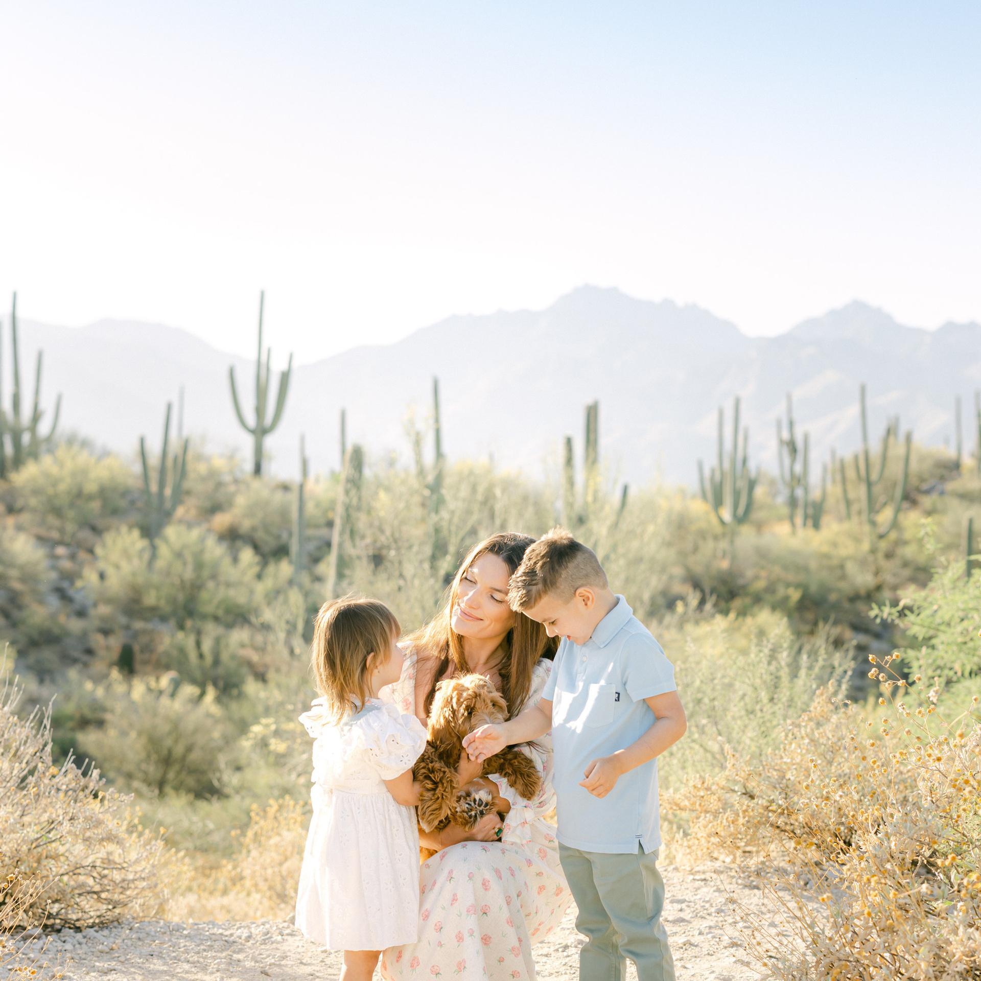 Wedding photographer Michigan. Anastasia Post: Wedding and Editorial Photography