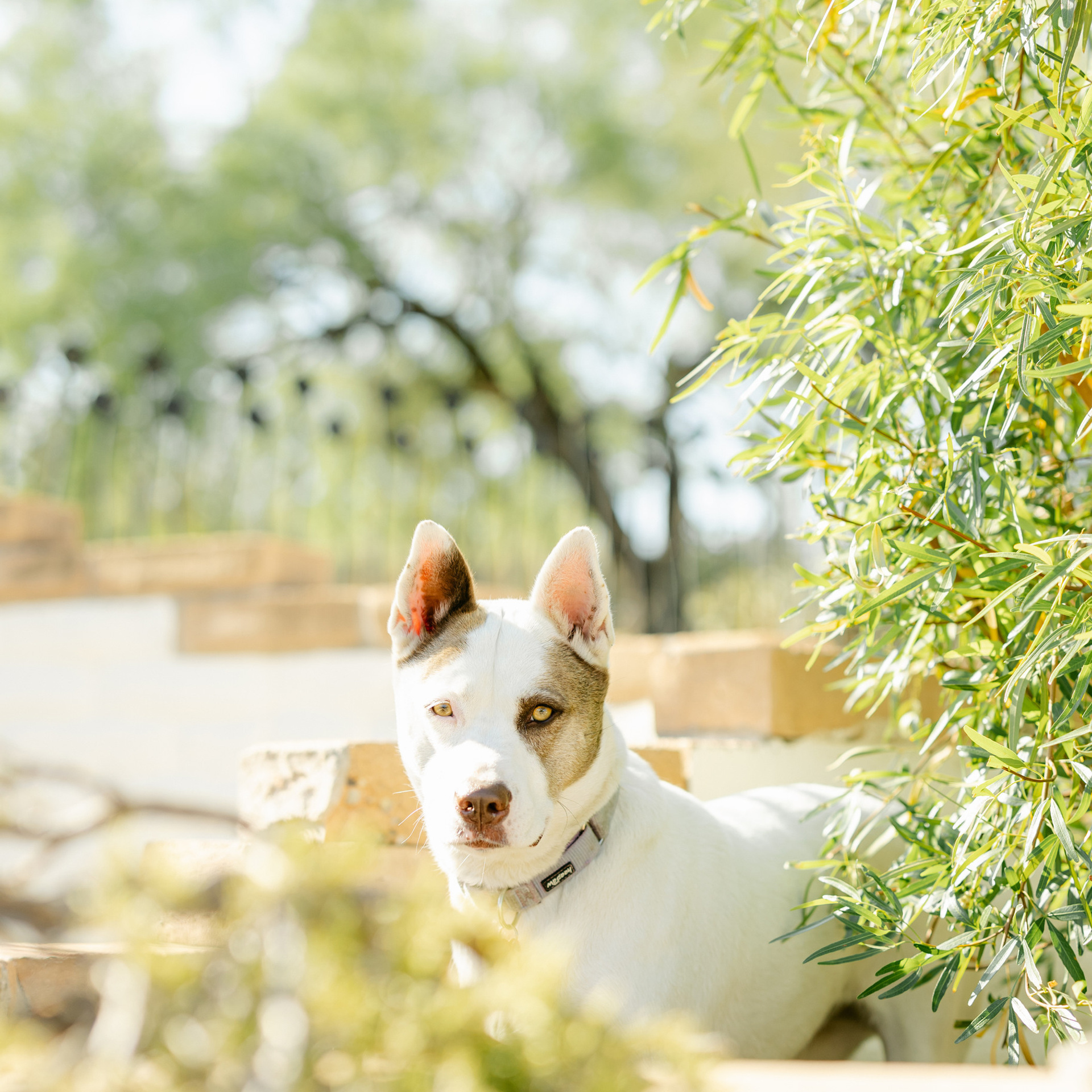 Wedding photographer Michigan. Anastasia Post: Wedding and Editorial Photography