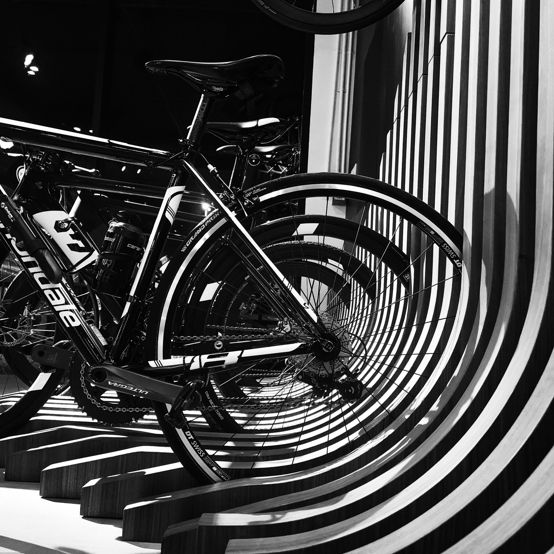 Impact Photo Collecton