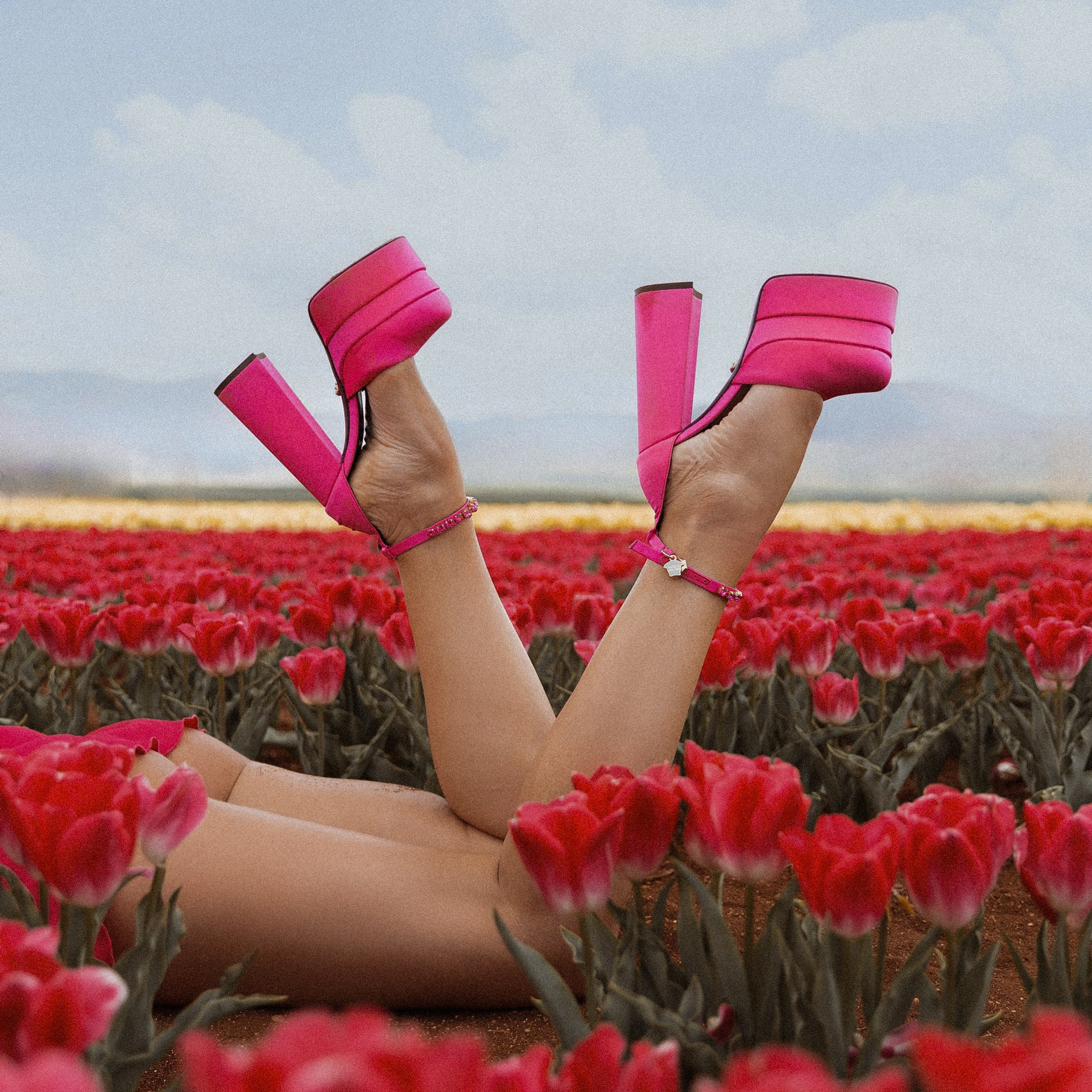 фото с тюльпанами без лица/ Тюльпан Турция. Тюльпановые поля в Турции. Сады тюльпанов в Коньи. Где можно увидеть поля тюльпанов? Цветение в Турции.  Сезон цветение в Турции. Турция. 