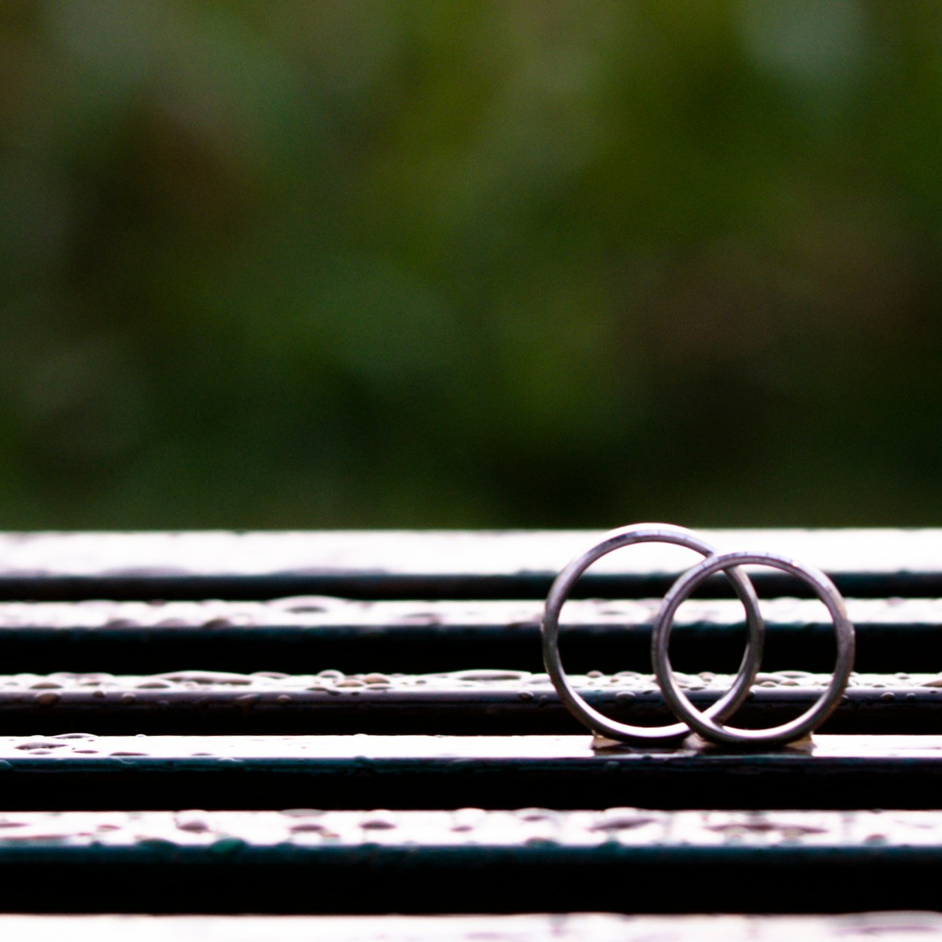 Nunta + Botez Ciresul Salbatic 2022