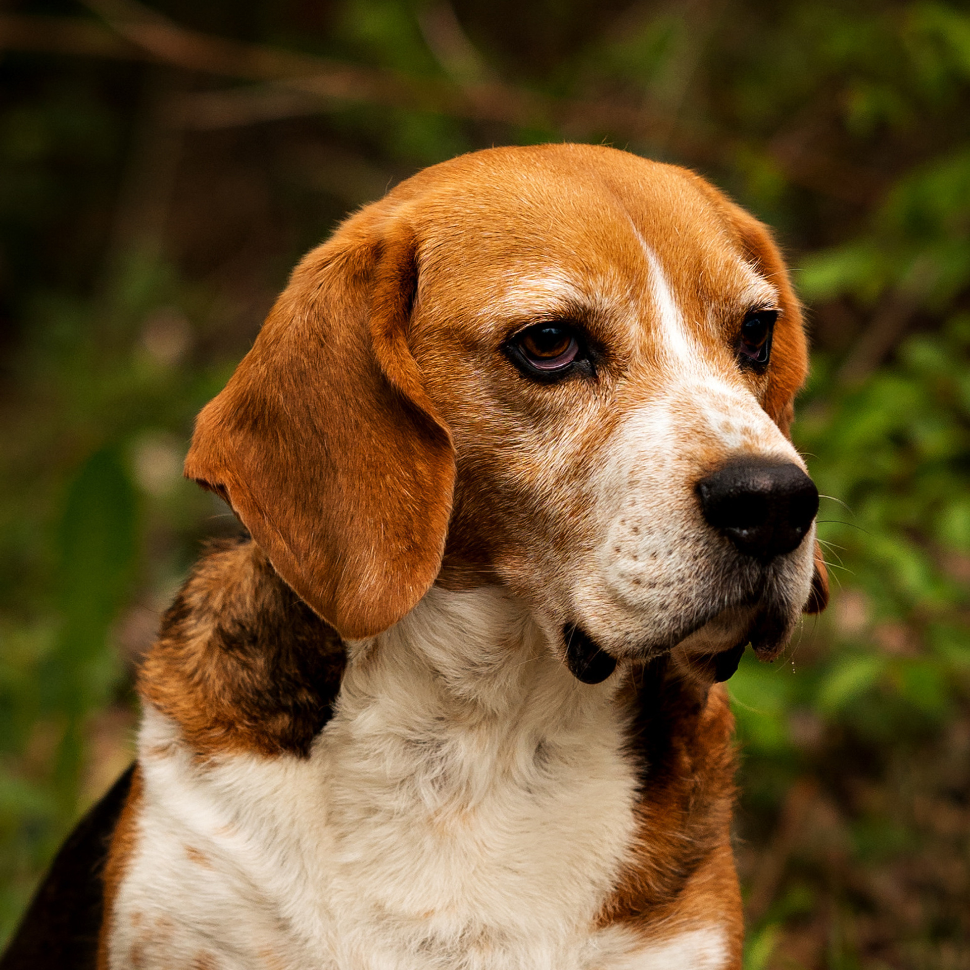 Feedback. Kinder- & Familienfotograf in Gaildorf und Umgebung Valentina Vogel