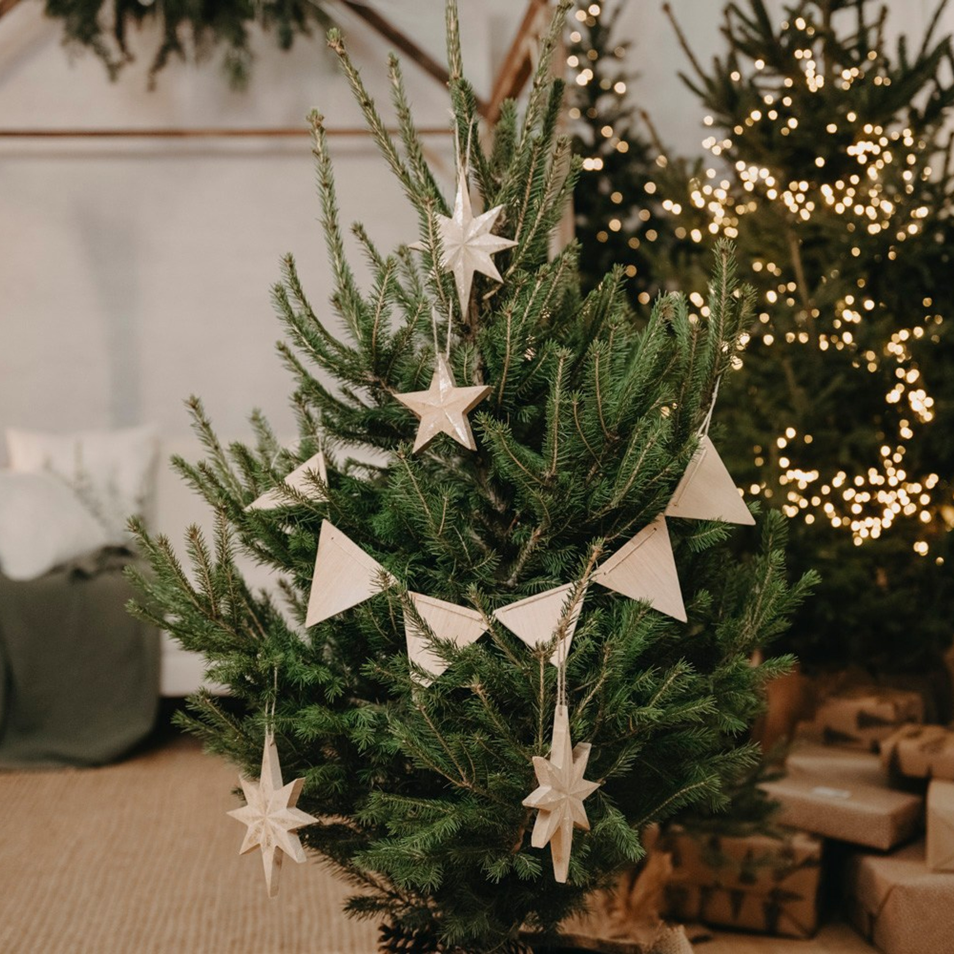 NOVOGODISNJE FOTOGRAFISANJE. Deciji i porodicni fotograf u Beogradu Oksana Skendzic