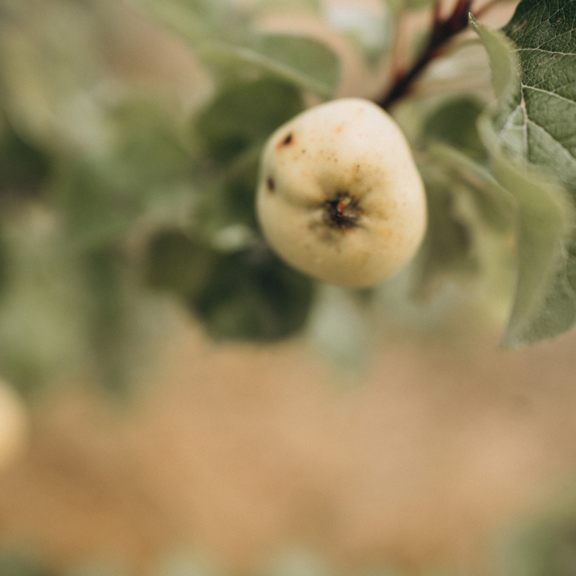 Отзывы. Fotograaf Tatjana Otter