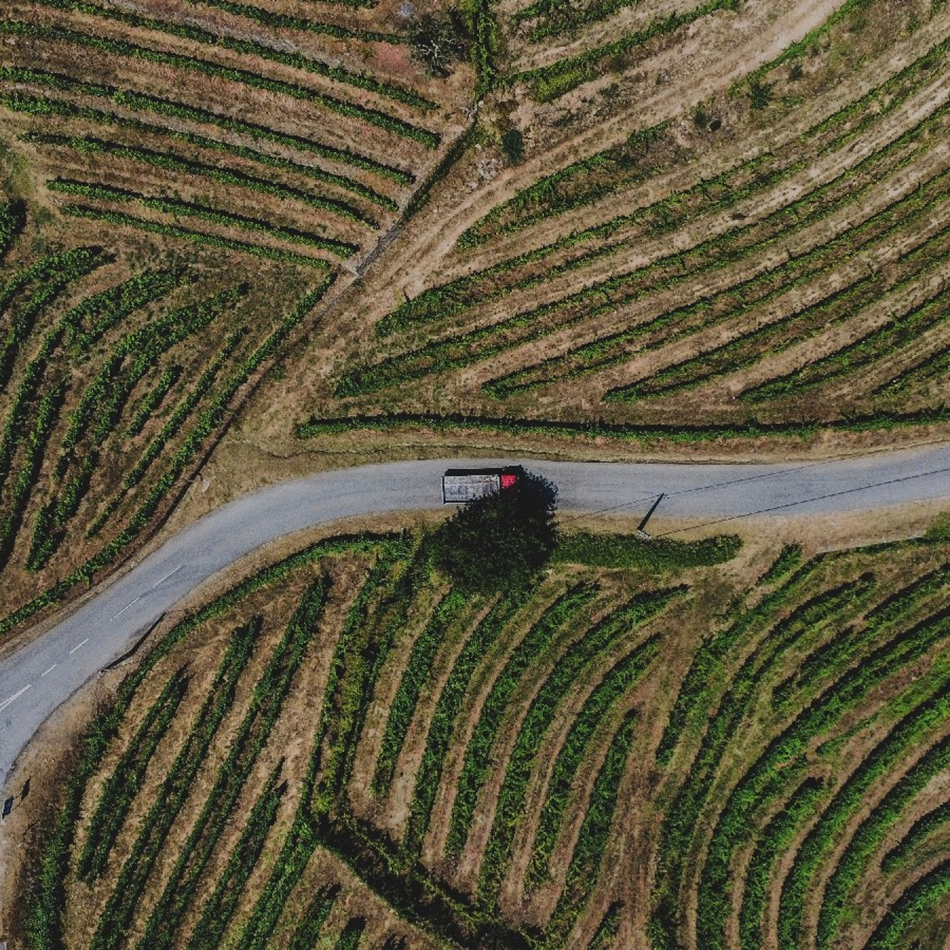 DRONE. MA Visuals — Fotografia e Vídeo