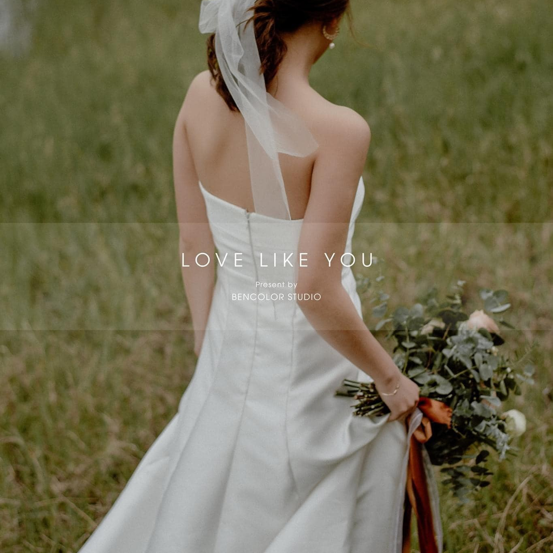 Feedback. BenColor Studio