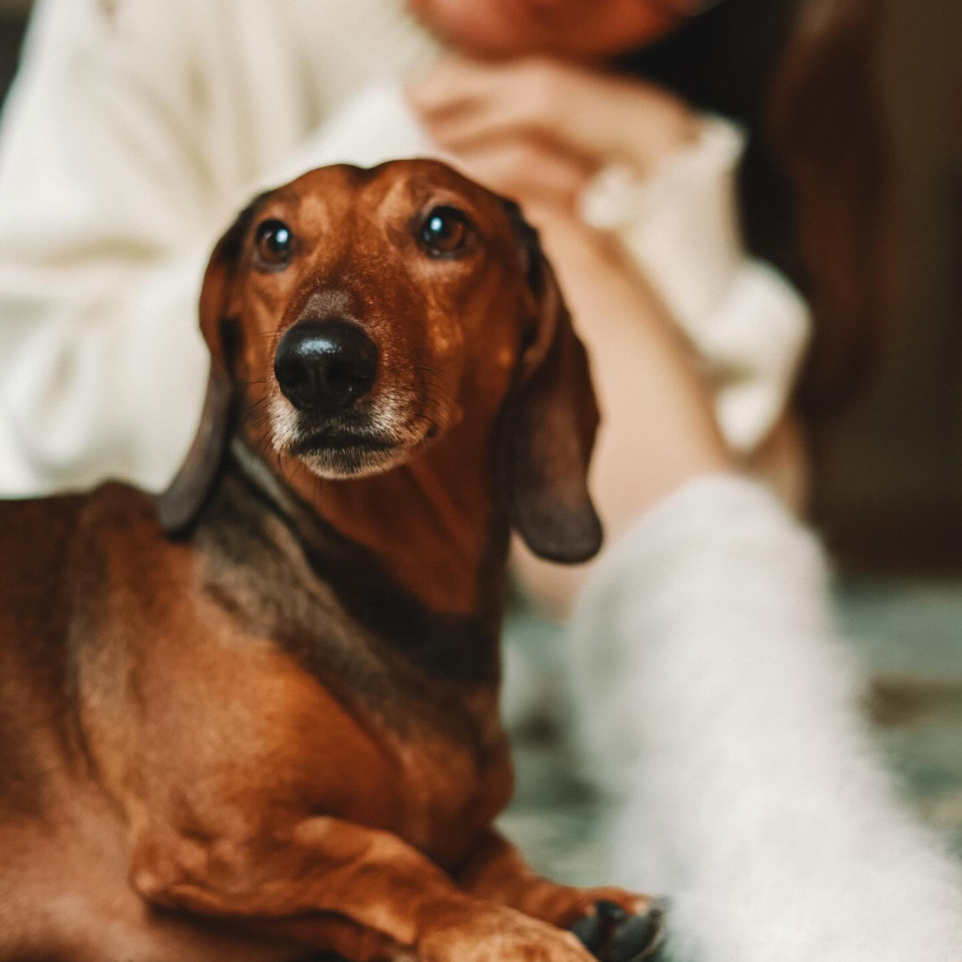 Отзывы: Семейный и индивидуальный фотограф Вильнюс. Фотограф | Семейный и индивидуальный фотограф в Вильнюсе Радюк Елена