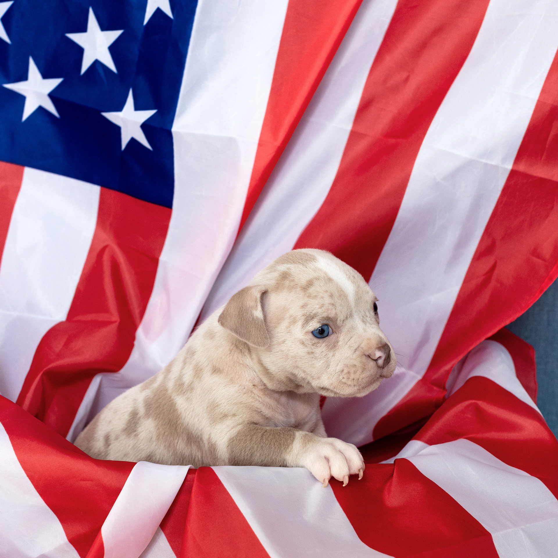 Referenzen/Feedback. Fotografin in Osnabrück Mariana Slav