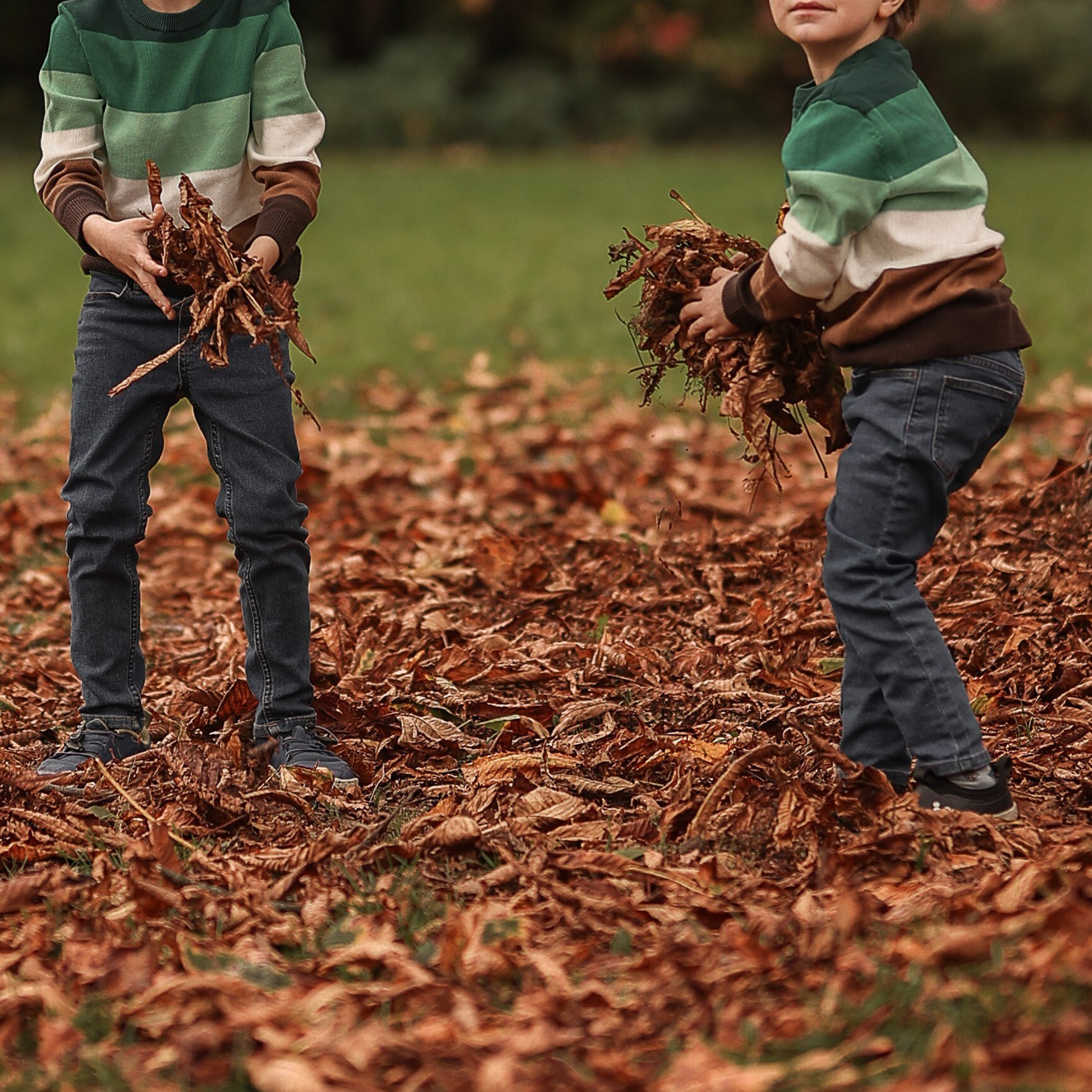 Kundenstimmen & Feedback | Albina Vaniyants – Familien-, Kinder- & Portraitfotografie. Professionelle Familienfotografie, Kinderfotografie und Portraitfotografie in Linz, Oberösterreich - Albina Vaniyants, Fotografin aus OÖ