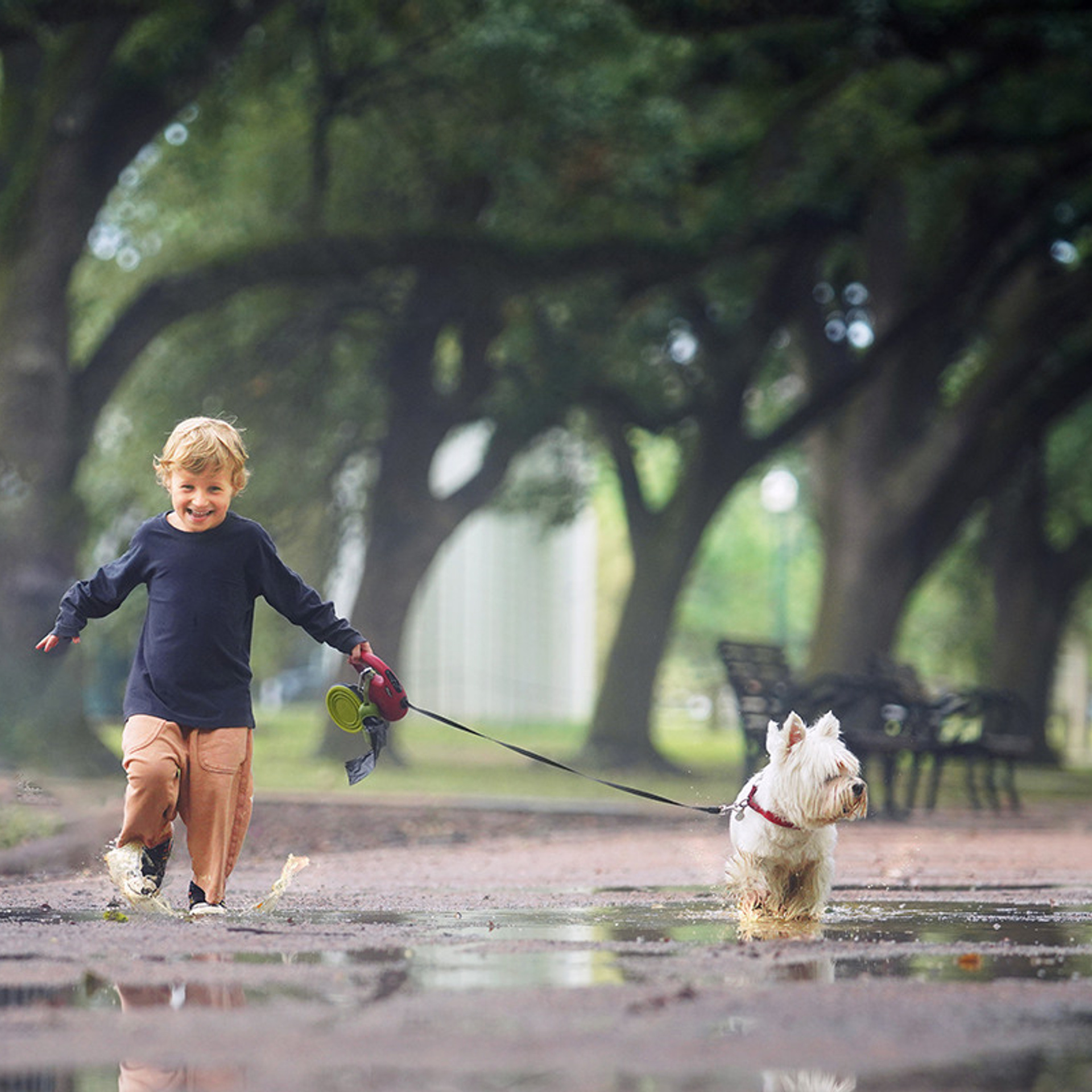 Reviews. Photographer Irina Kozhemyakina. Houston