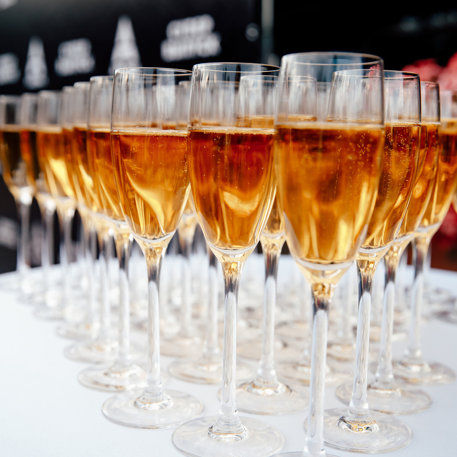 Reviews. Свадебный фотограф Каледич Тимофей