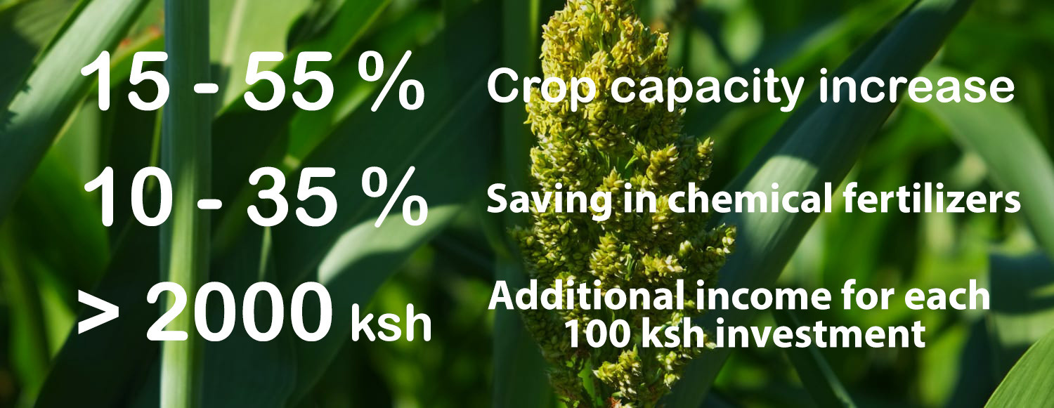 Peat Moss Organic fertilizer