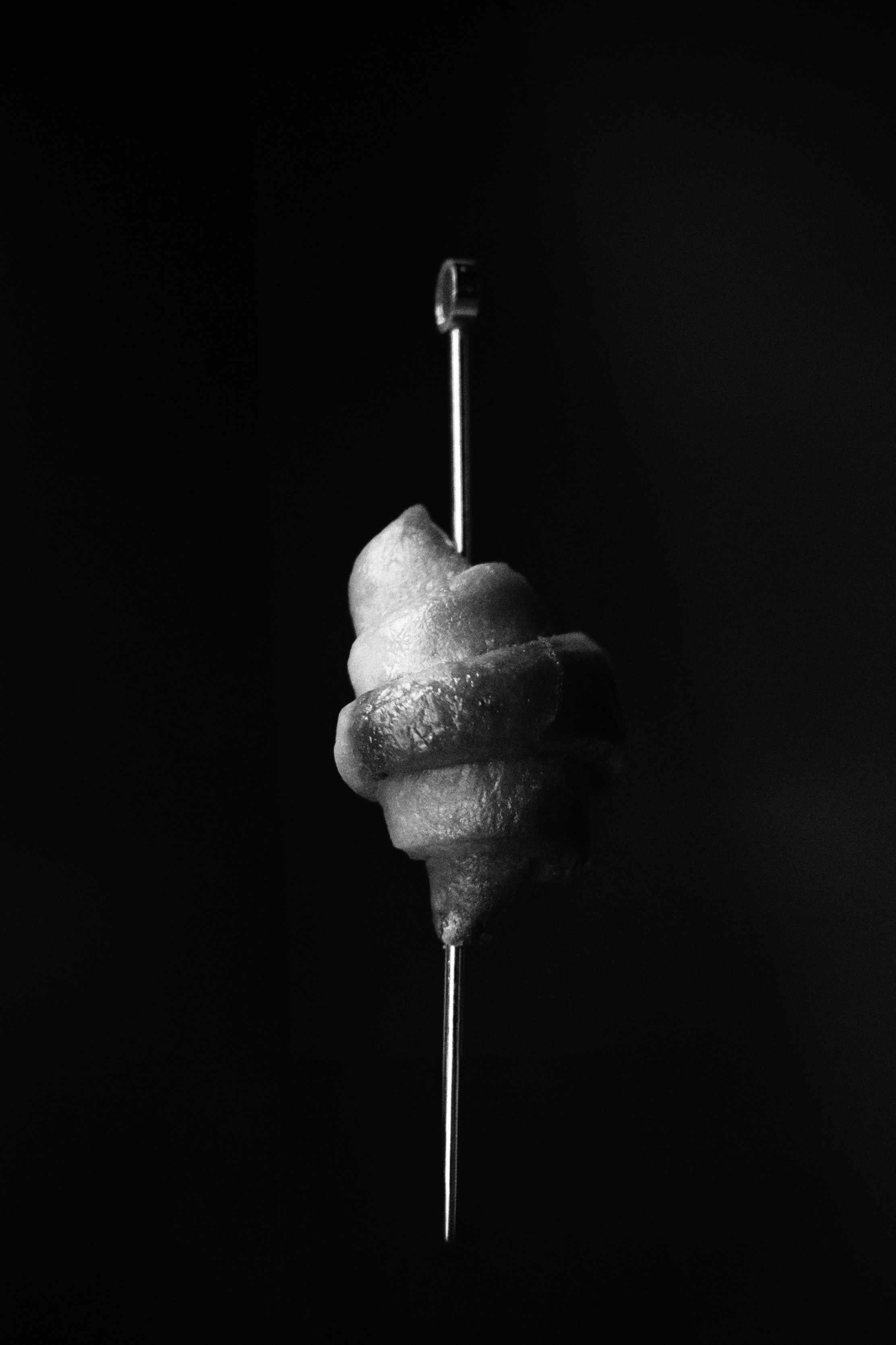 Photographer Evgeniia Zorina