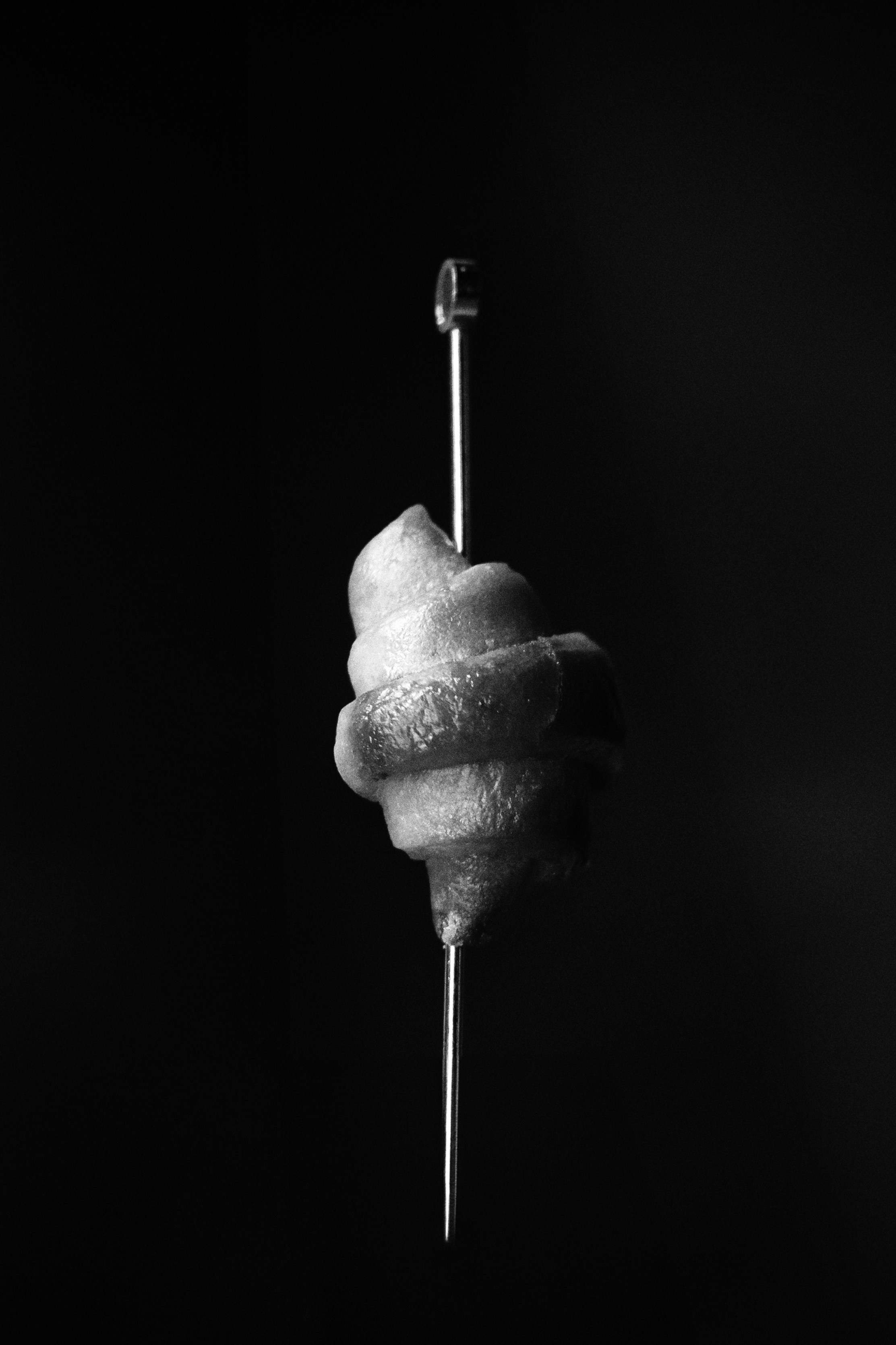 Photographer Sri Lanka