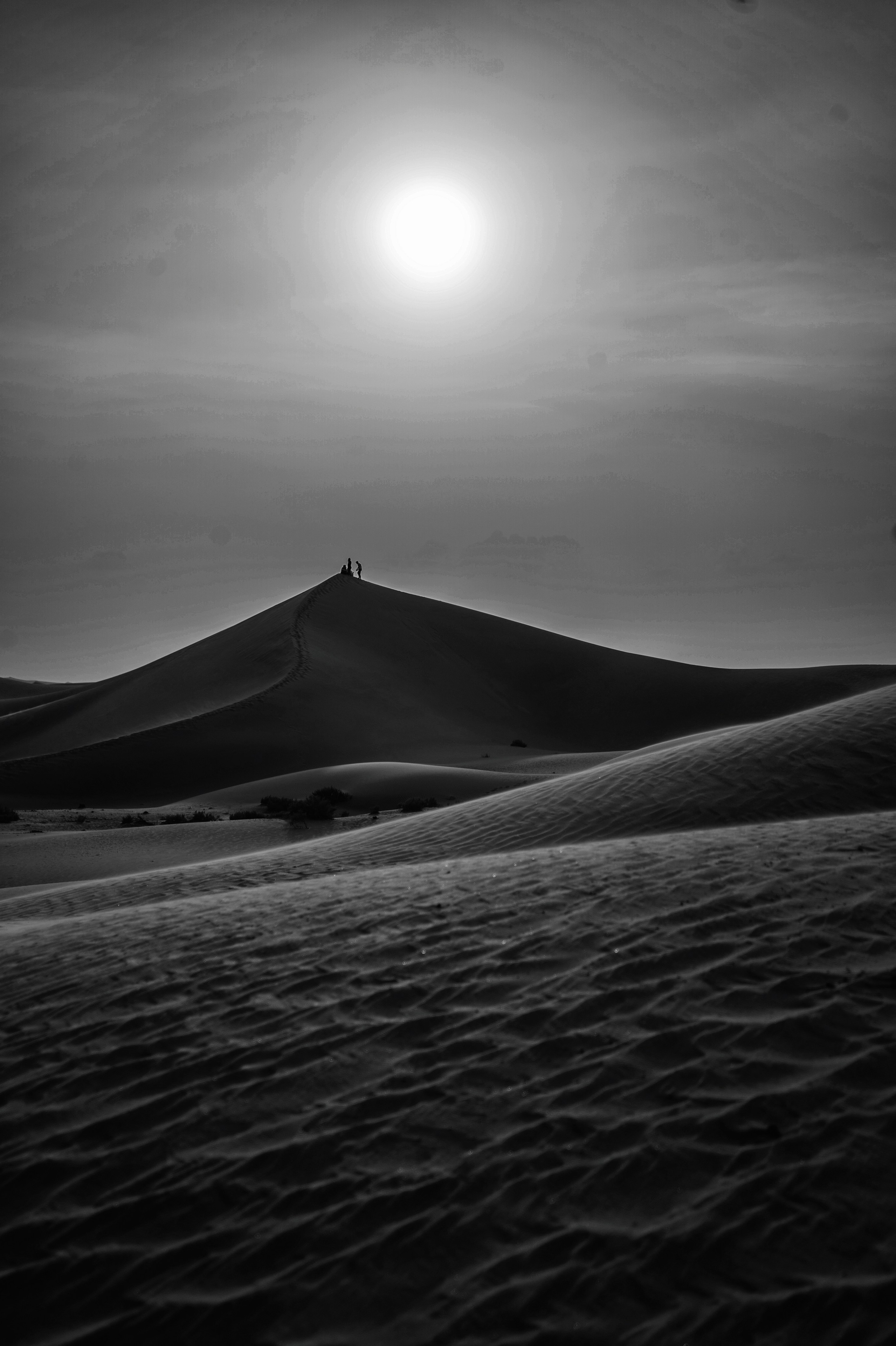 Photography Awards and Competitions — Achievements in Abu Dhabi and Beyond. Mariia Safronova is your photographer in Abu Dhabi and Dubai