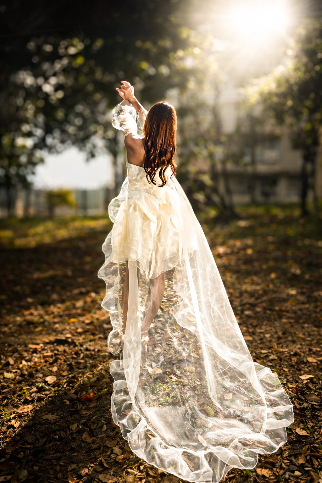 Servicios. Lucyfera Studio