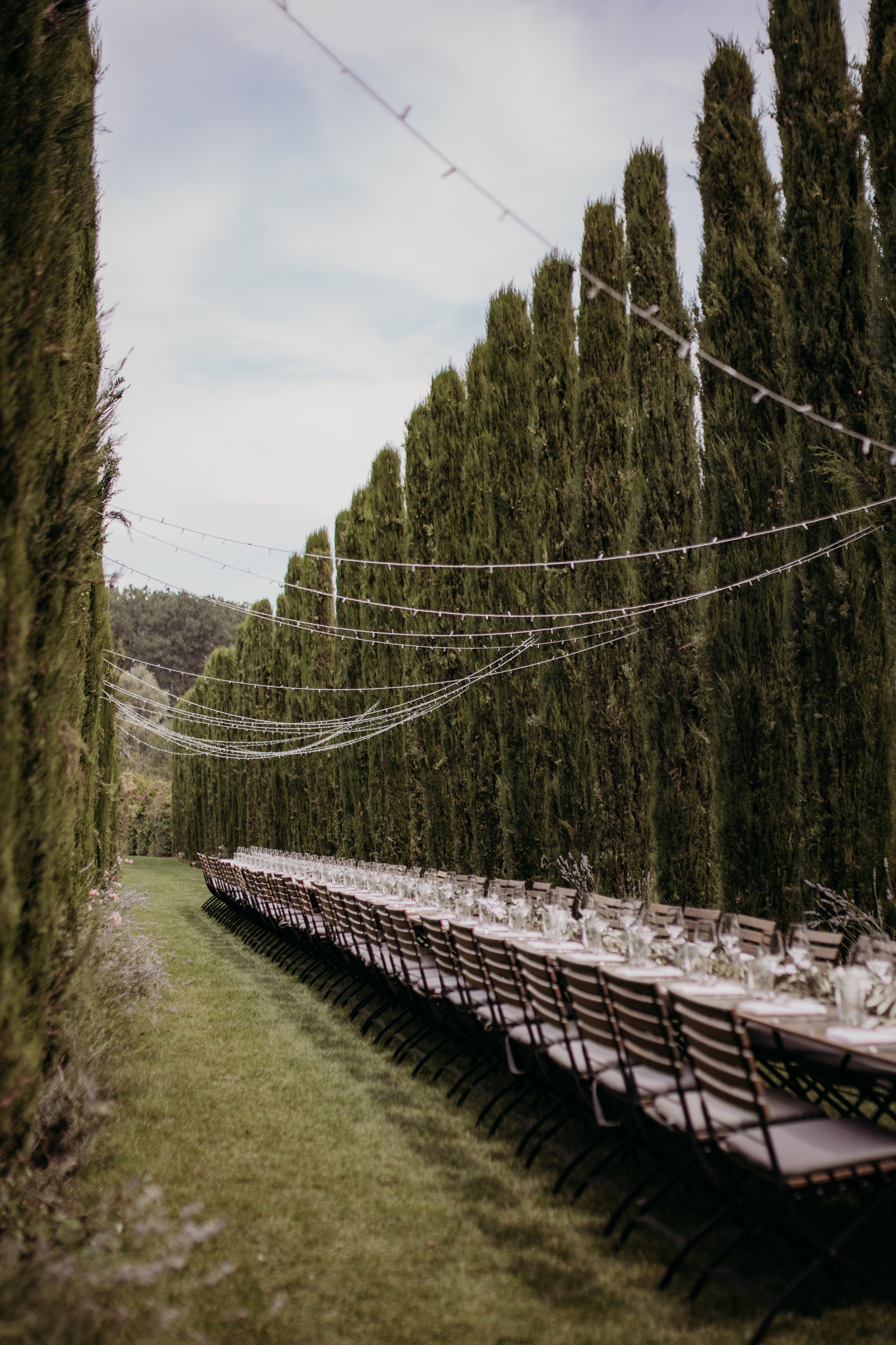 Emotionale Momente während der Trauung im Weingut Mussler – Hochzeitsfotografin für freie Trauung bei Frankfurt am Main