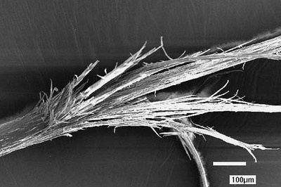 Уход и хранение парикмахерских ножниц. Мастер по заточке и реставрации инструментов