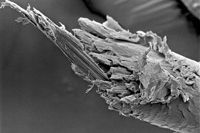 Уход и хранение парикмахерских ножниц. Мастер по заточке и реставрации инструментов