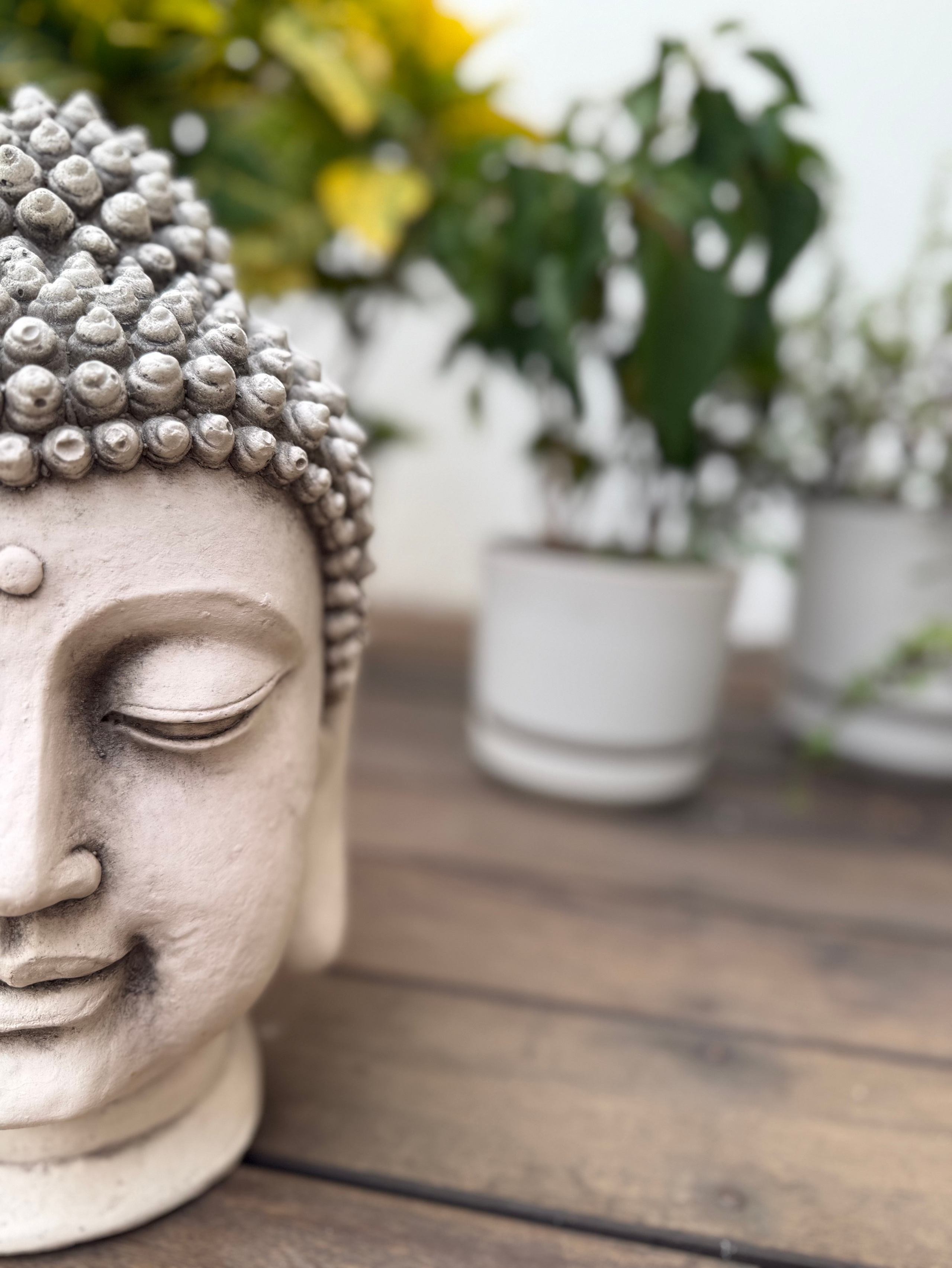 Centro de terapias alternativas en Morelia 