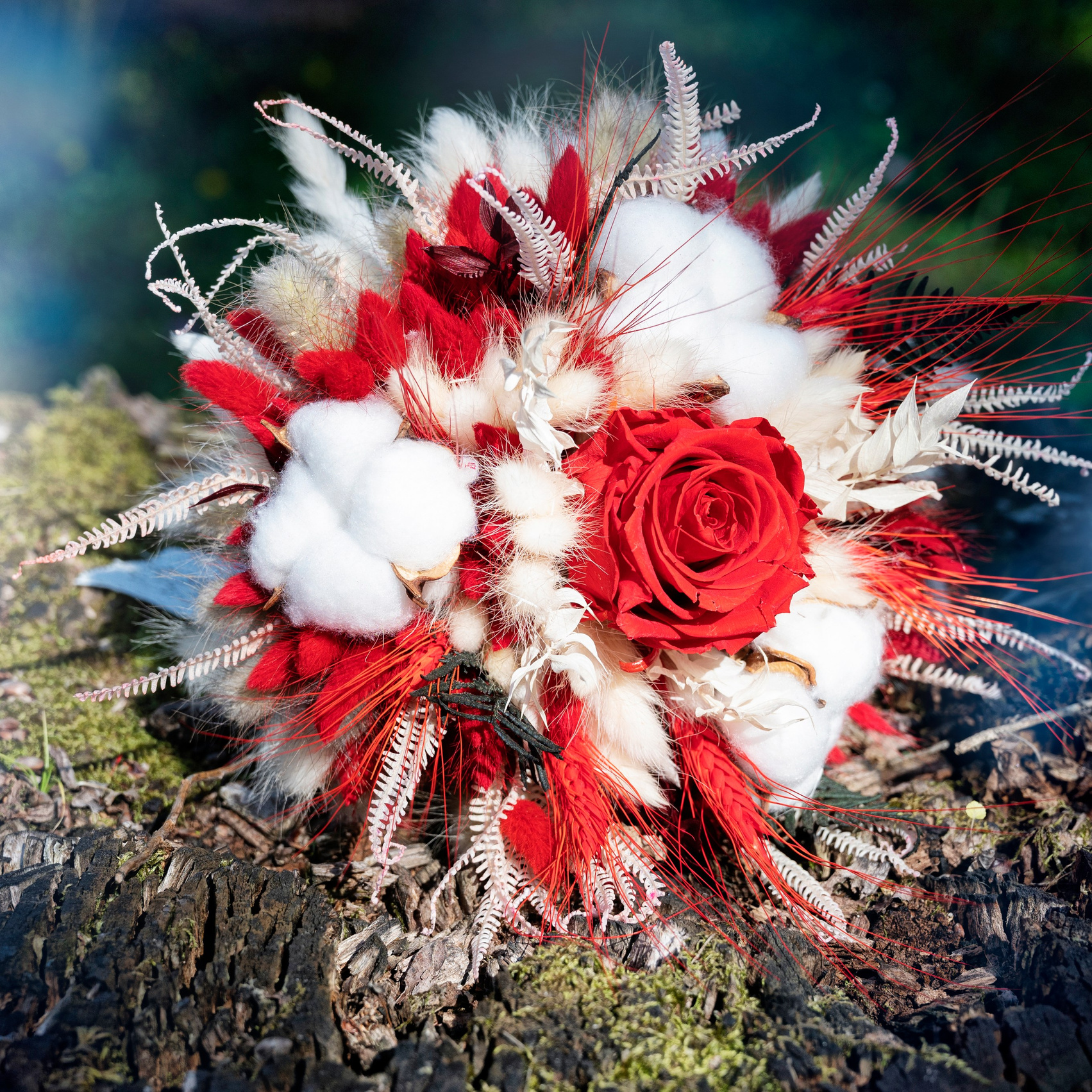 Contact. Fotograf Nunta Craiova