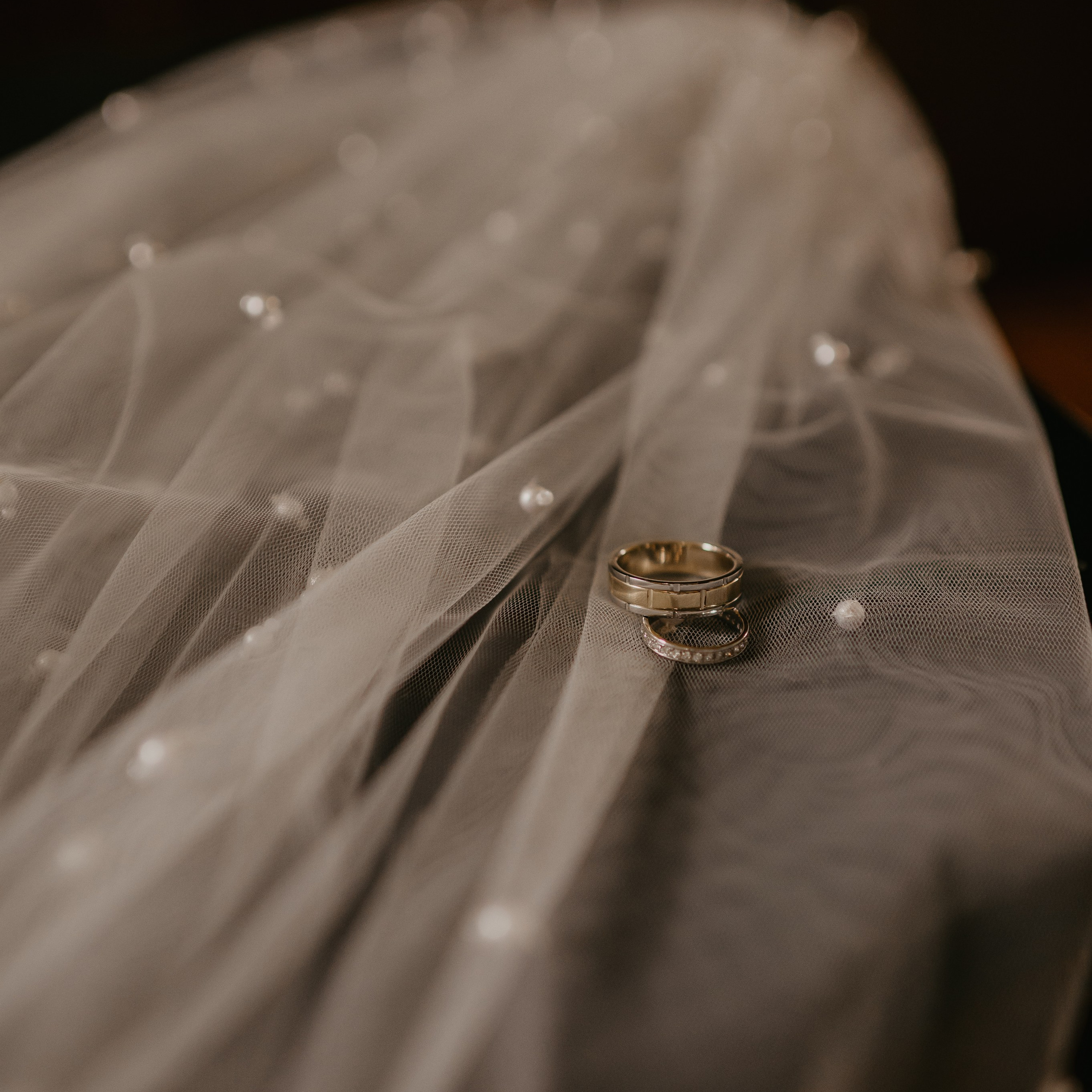 O meni. Ana Sladojevic