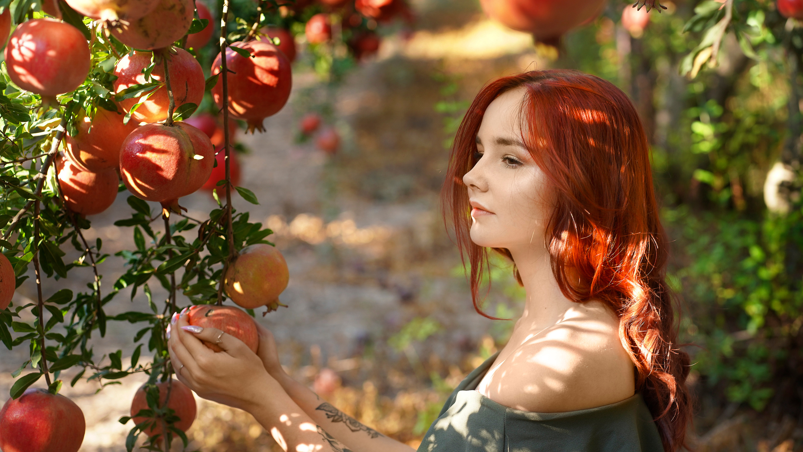 Стоимость услуг. Фотограф и видеоограф в Израиле Ольга Харнас Studio