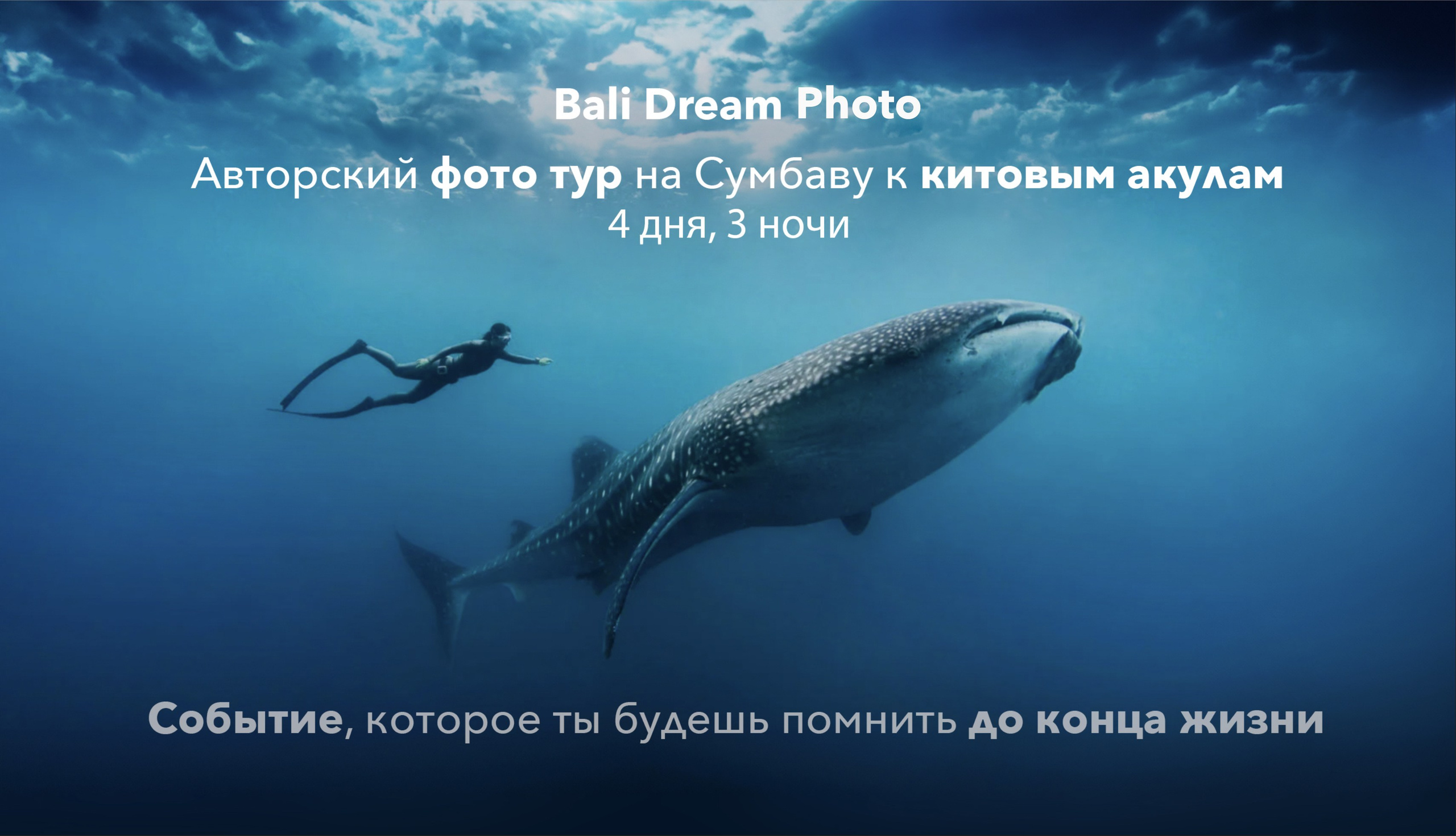 Китовые акулы и загадки острова Ломбок. Групповой тур. 4 дня, 3 ночи