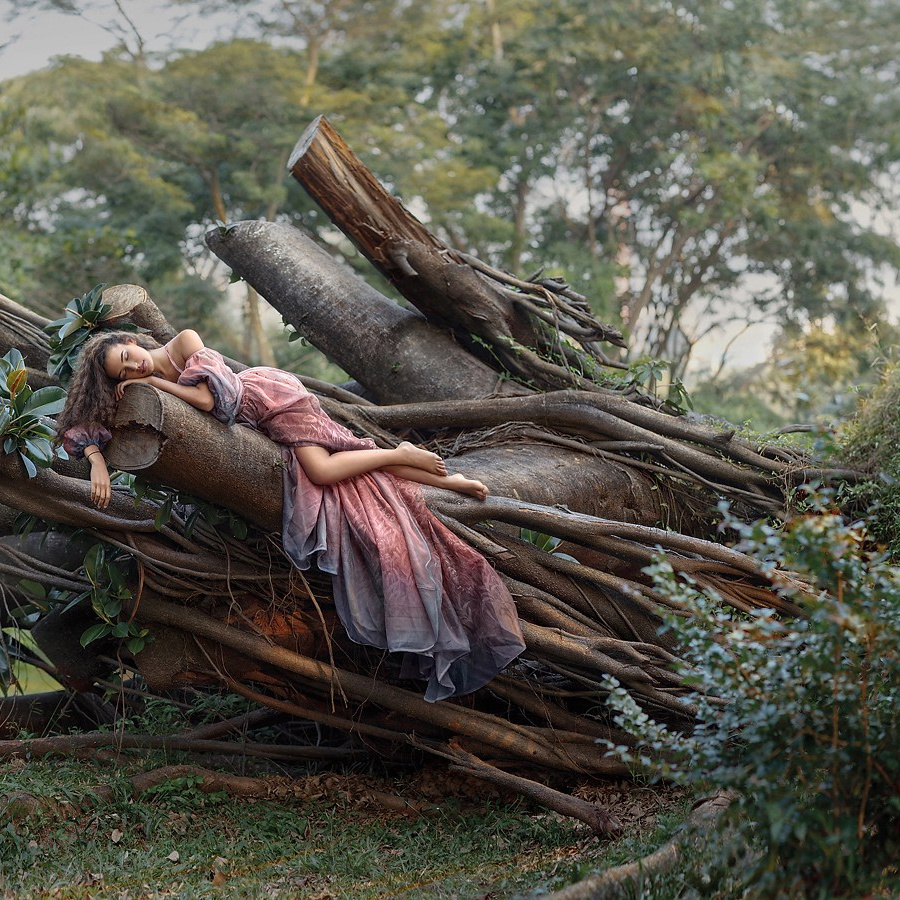 SOUL OF TREE. Art photographer in Amsterdam, the Netherlands Irina Dzhul