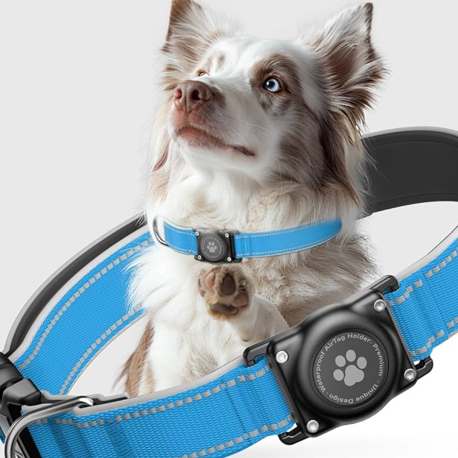 Подарунки. Фотограф-анімаліст Київ