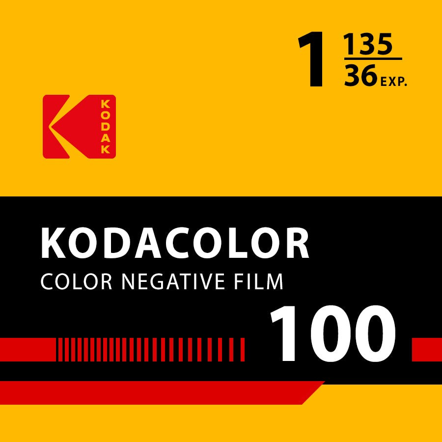 KODAK PRESETS. Fotógrafo de Casamento espontâneo em Belo Horizonte MG| Bittencourt Frames