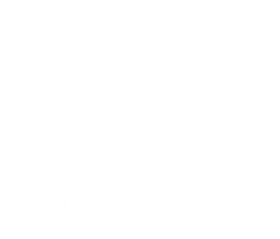 cineeye-production.wfolio.pro