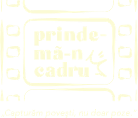 prindemancadru.ro