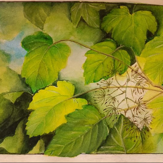 Работы учеников. Школа современного искусства Лени Сморагдовой