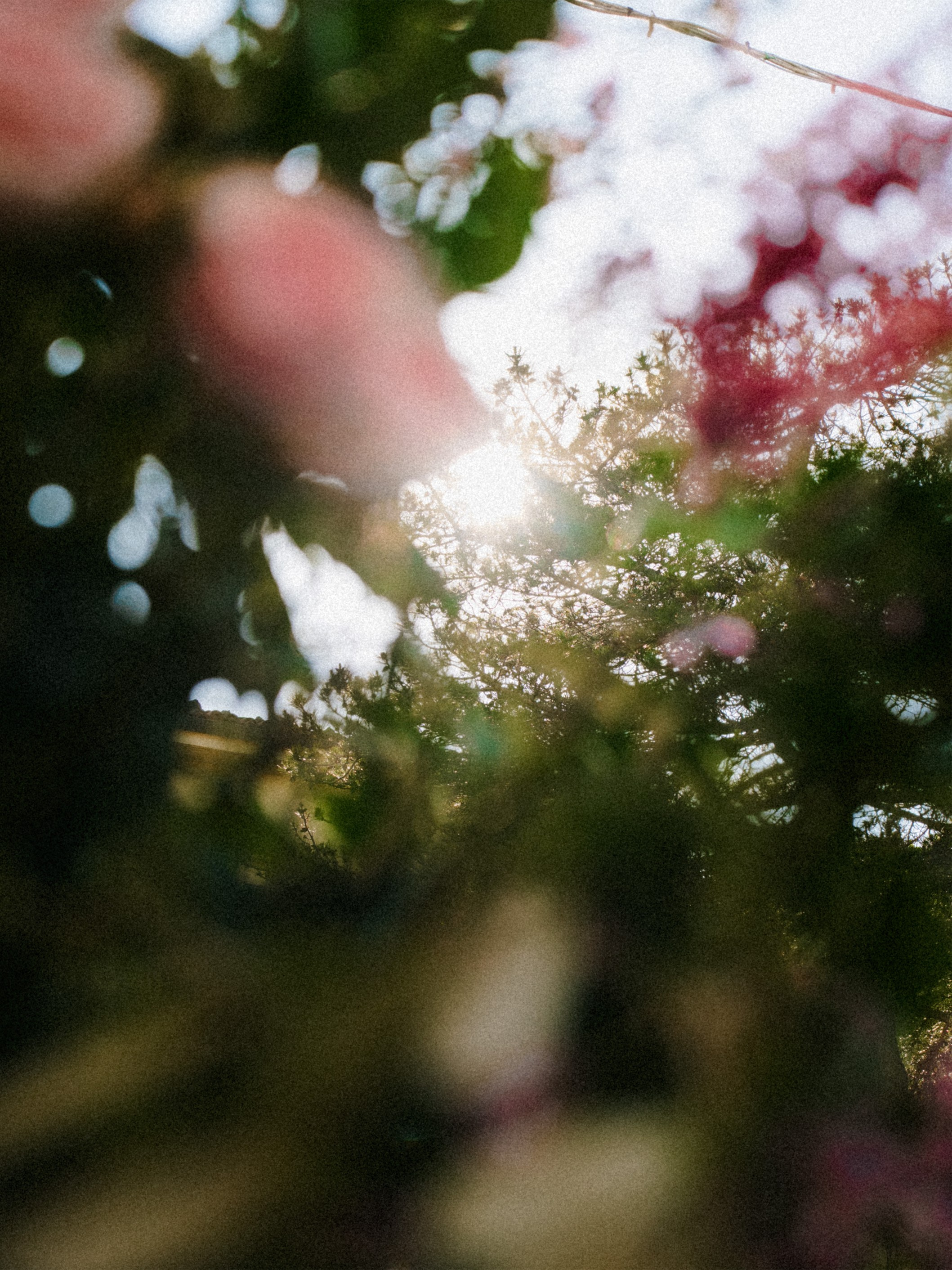 Villa La Cerbara Sunset. W LAB 192 | Davide Vichi