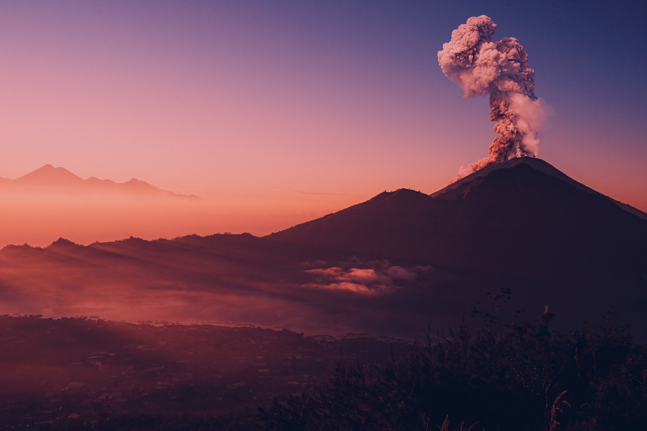 CAFE DEL PHOTO #89 «Рождённые в борделях». Школа Фотографии Романа Рыбалёва. Город Кишинёв, Молдова