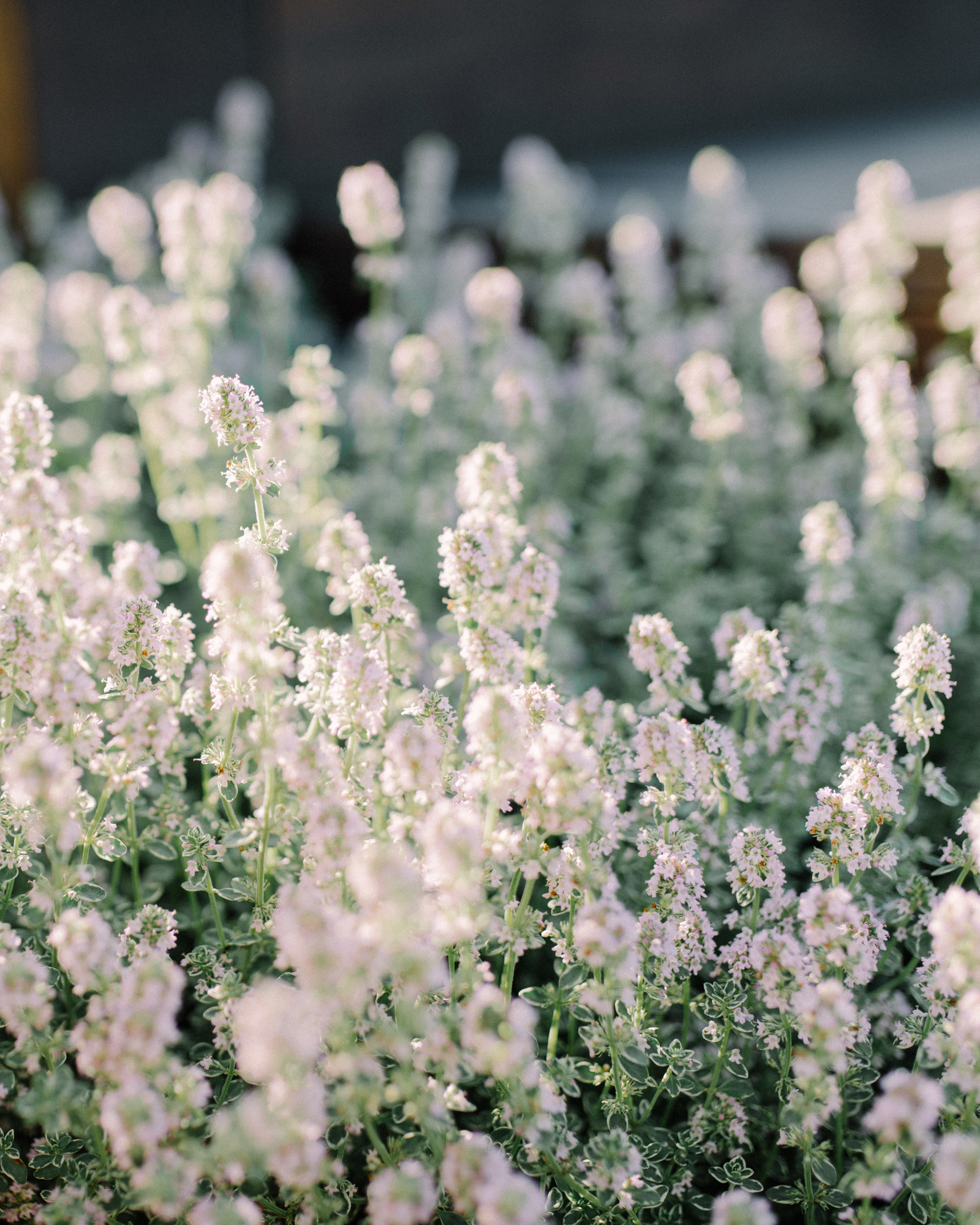 Photoshoot in Mexico